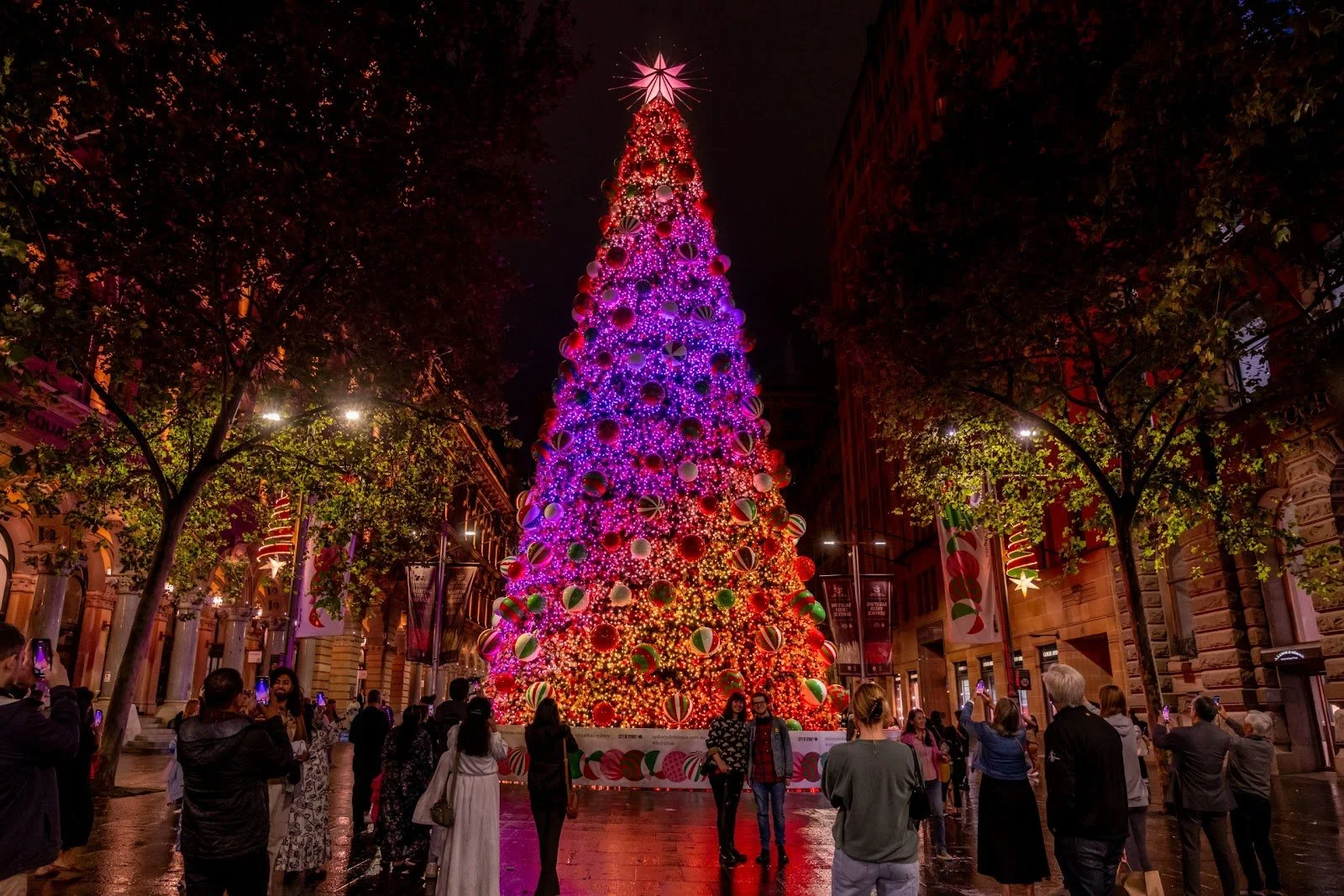 Martin Place Christmas Tree - 2023