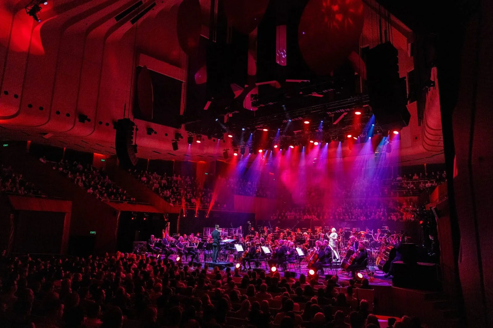 Spinifex Gum - Sydney Symphony 2023