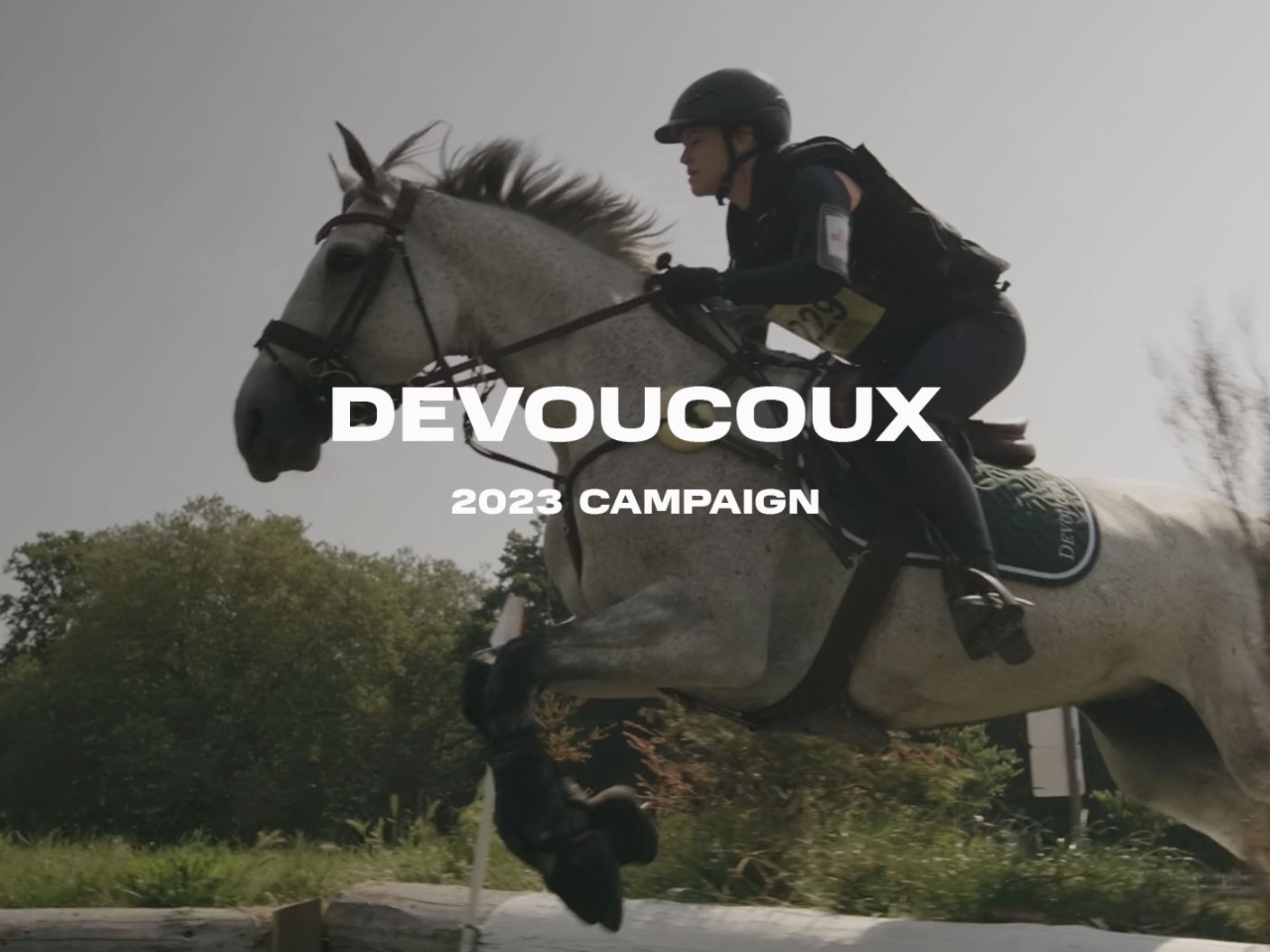 DEVOUCOUX