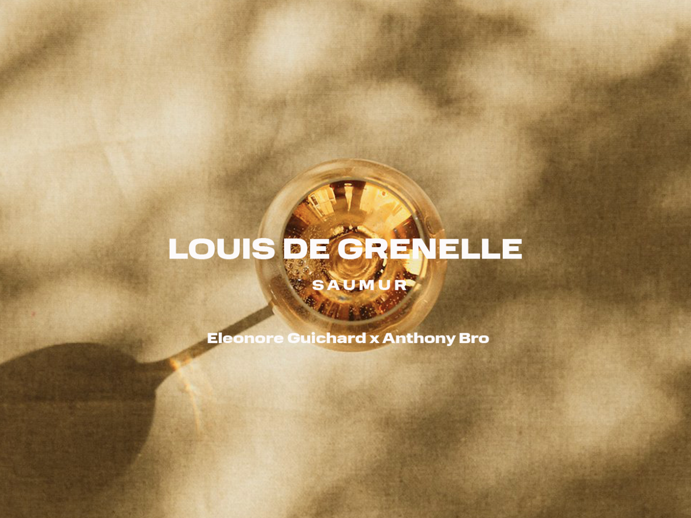 Louis de Grenelle
