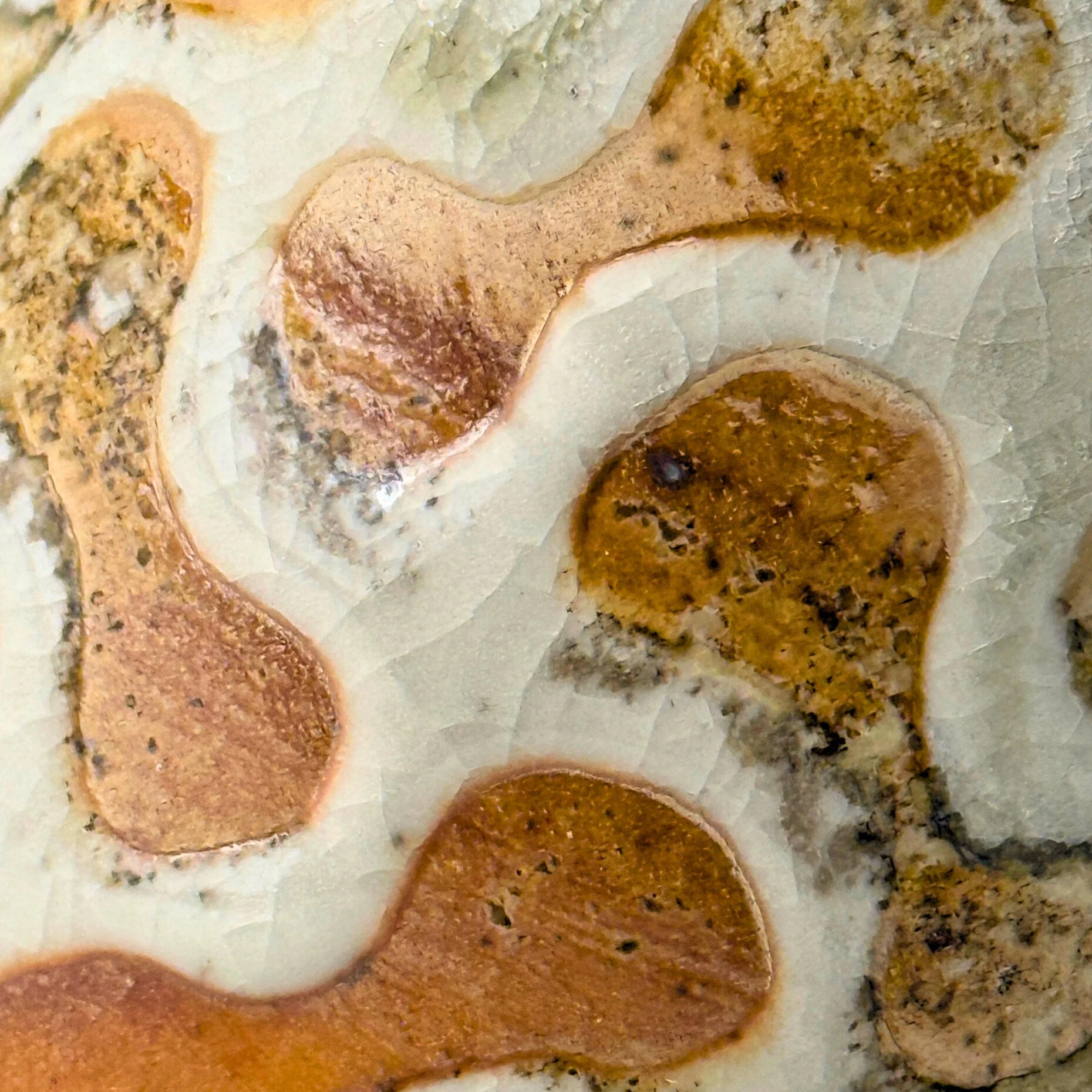 Close-up of various shaped dog treats on a parchment paper.