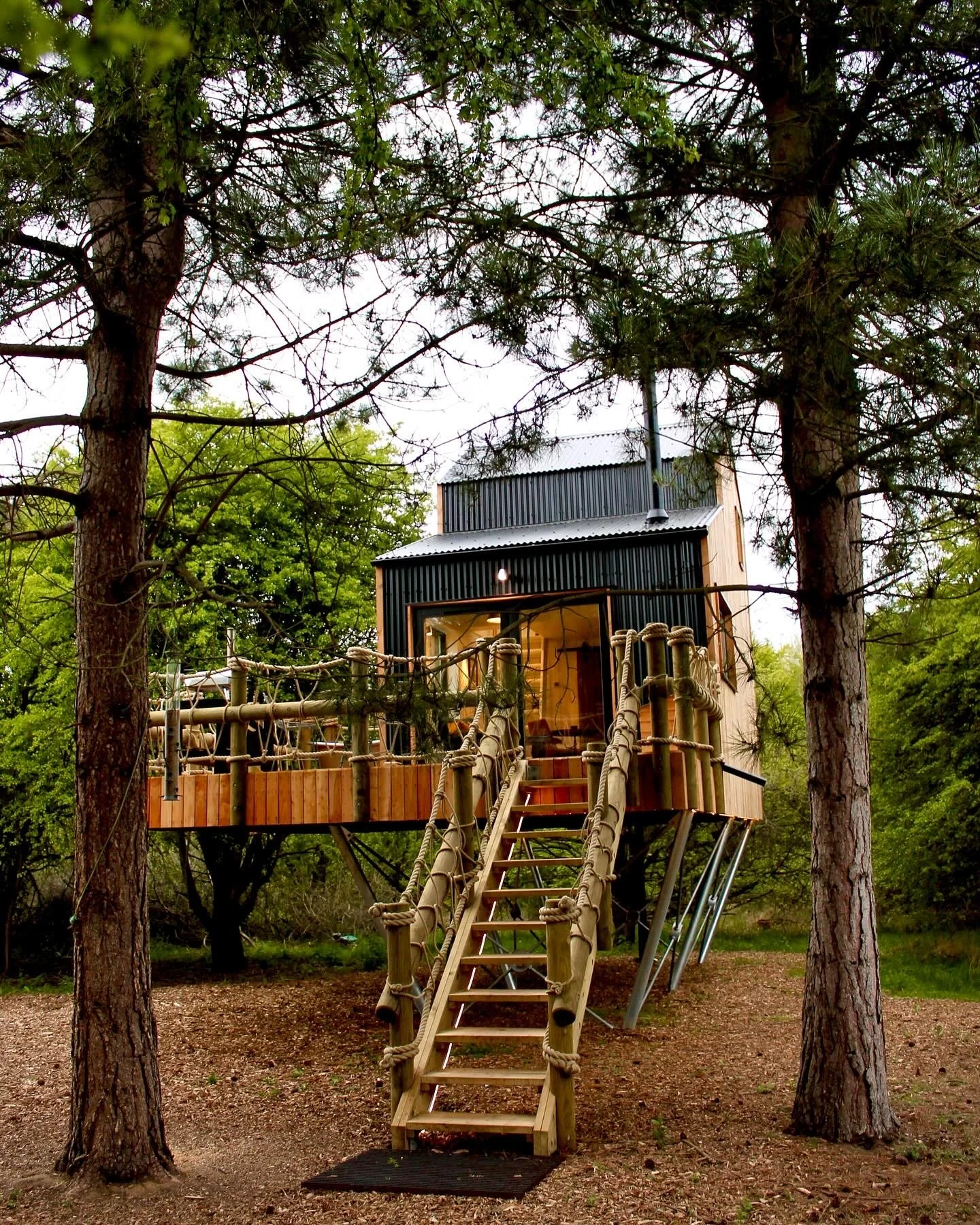 Treehouse with black exterior, glass door, wooden railing, located between two tall pine trees in a forested area.
