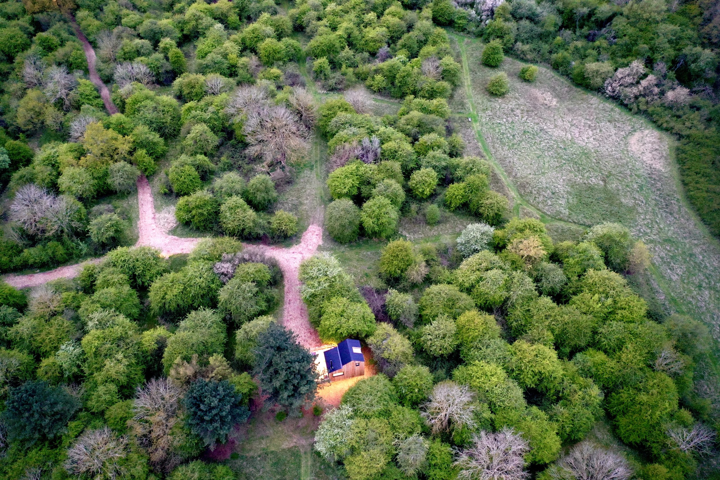 Aerial view of a wooded area with a treehouse that has a dark roof, surrounded by pathways and greenery.