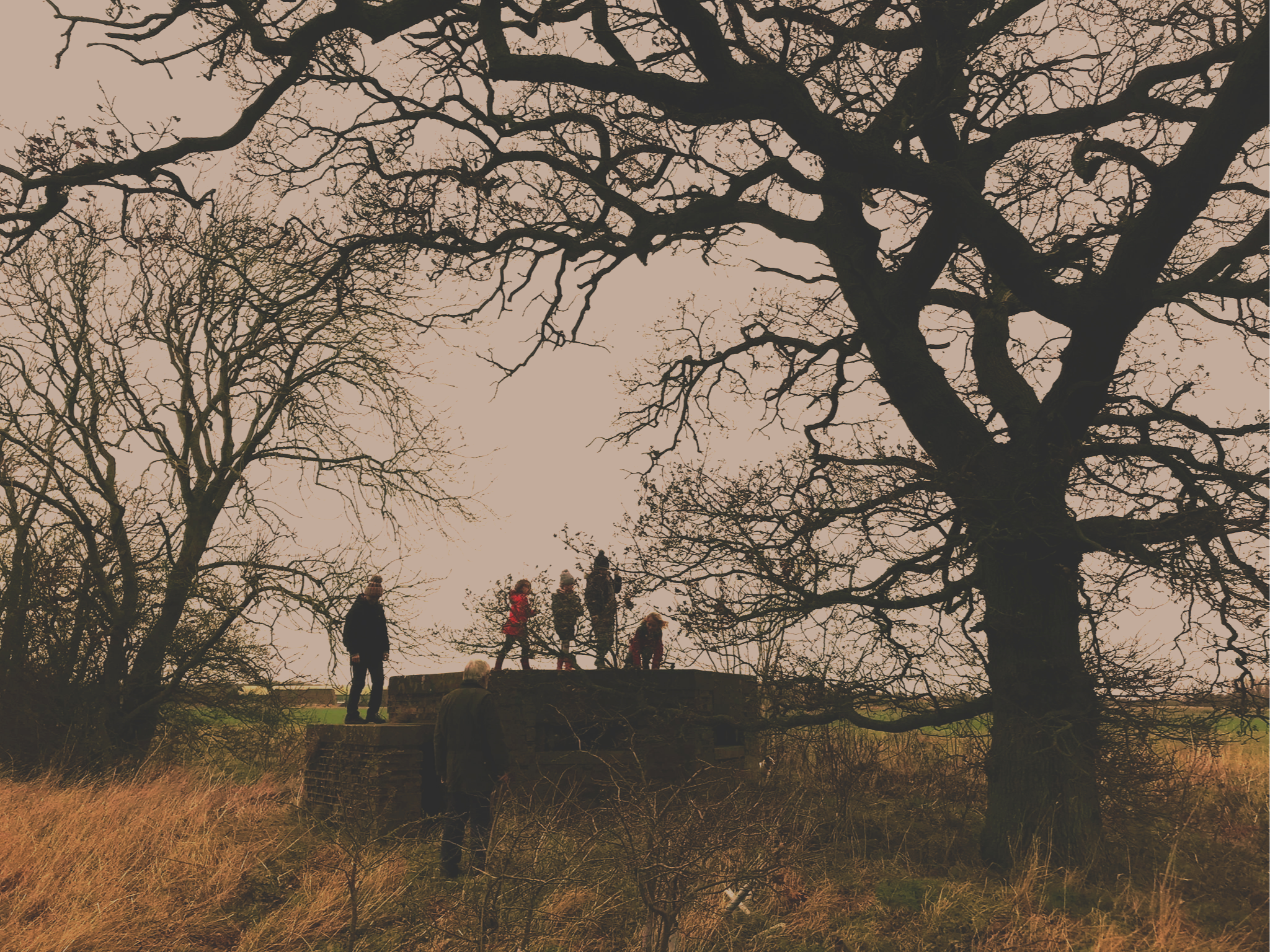 A group of people standing on a stone structure outdoors surrounded by leafless trees with thick branches, under an overcast sky.