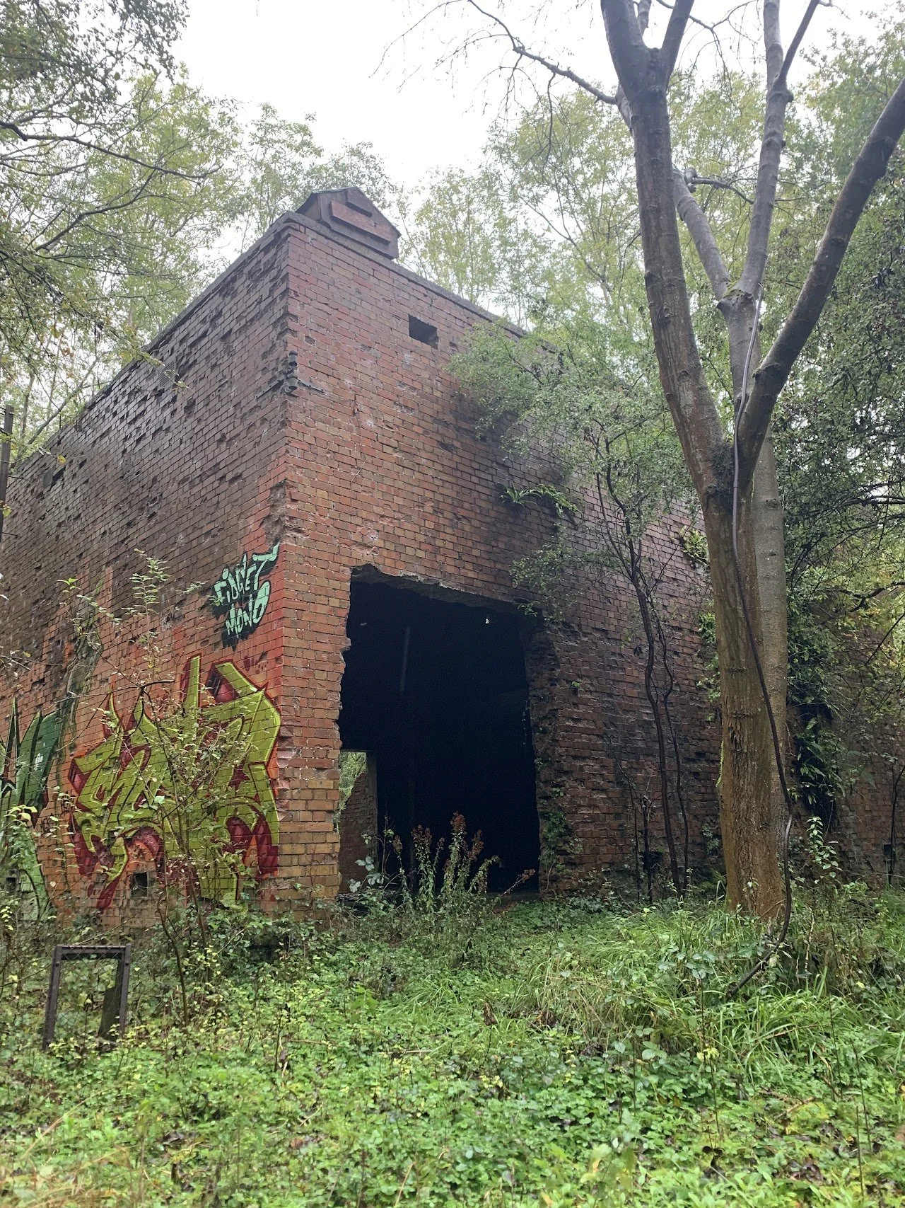 An old brick building in a wooded area with graffiti on the wall and surrounded by overgrown grass and trees.