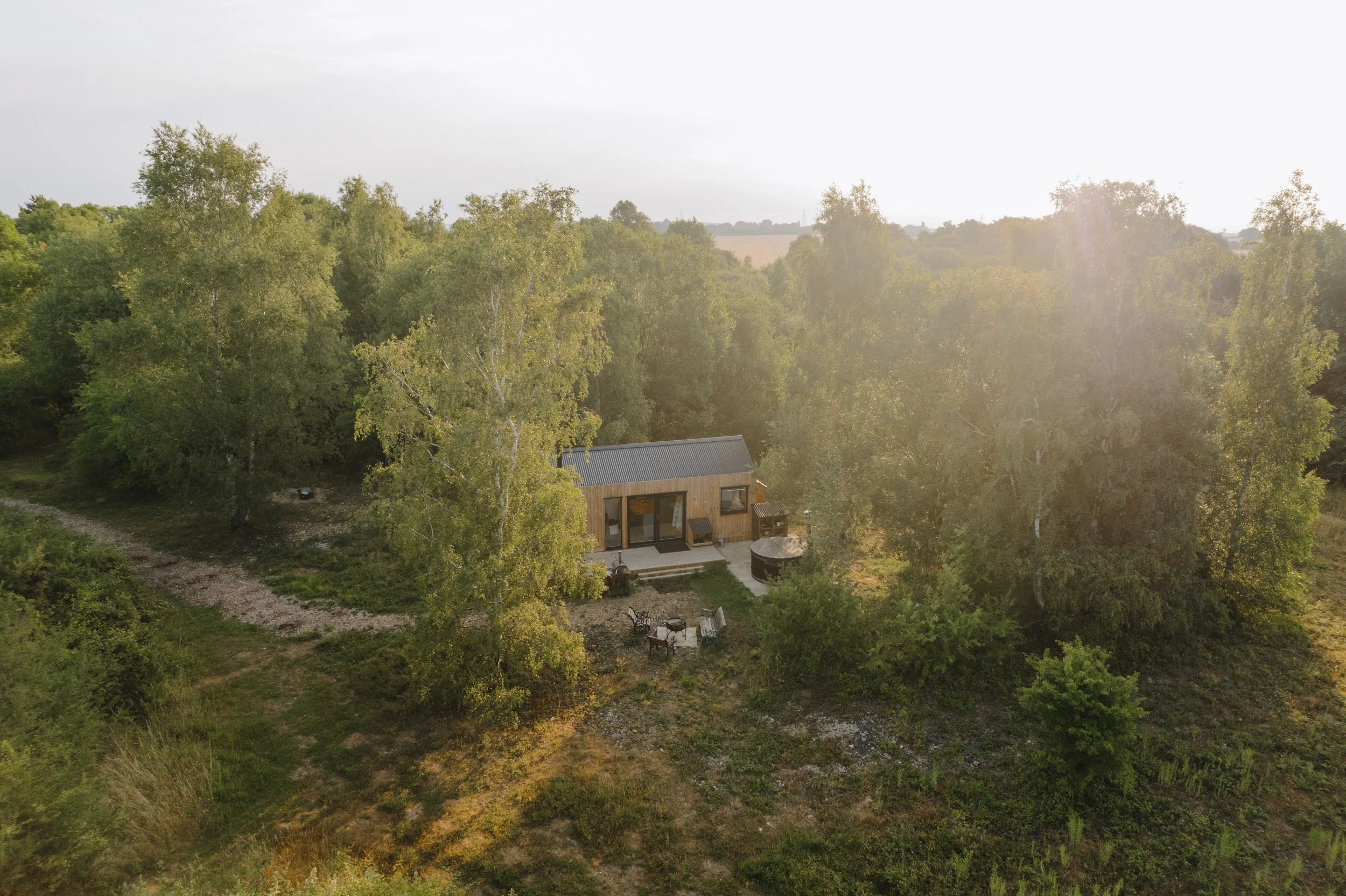 A woodland cabin surrounded by silver birch trees overlooking a grassy plain with outdoor furniture and a fire pit at sunset.