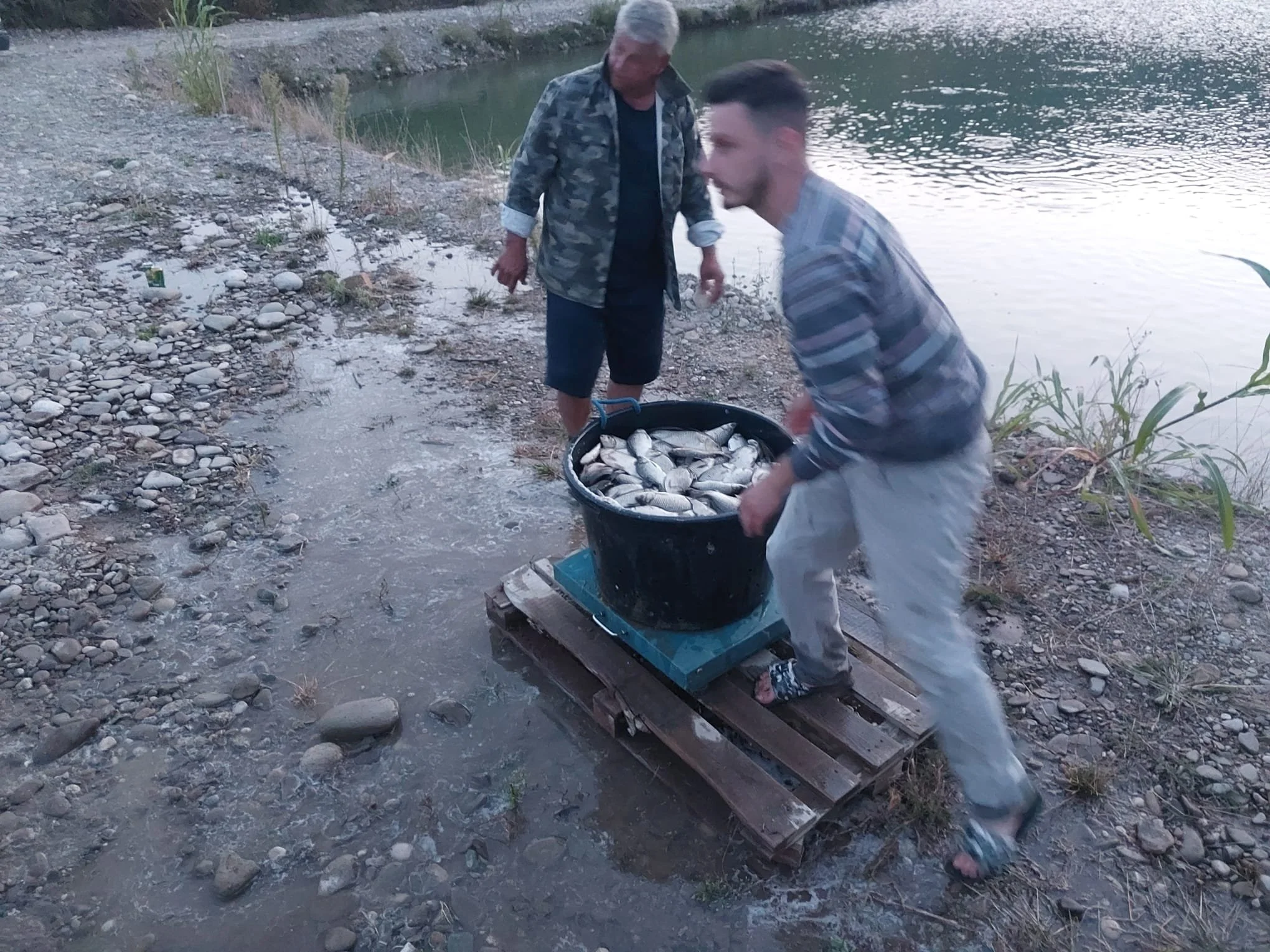 WhatsApp Image 2025-09-25 at 21.32.32.jpeg