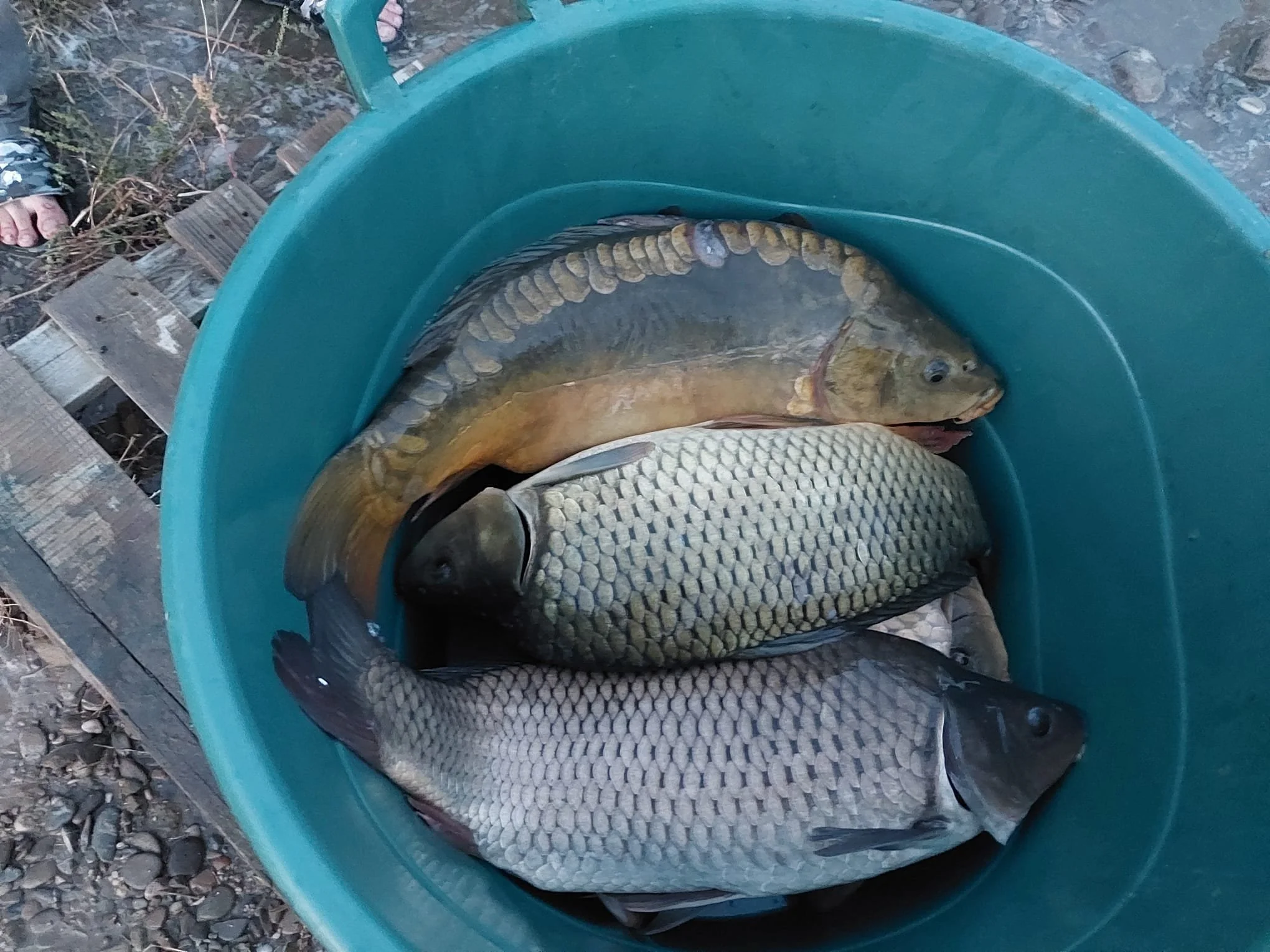 WhatsApp Image 2025-09-25 at 21.32.32 (1).jpeg