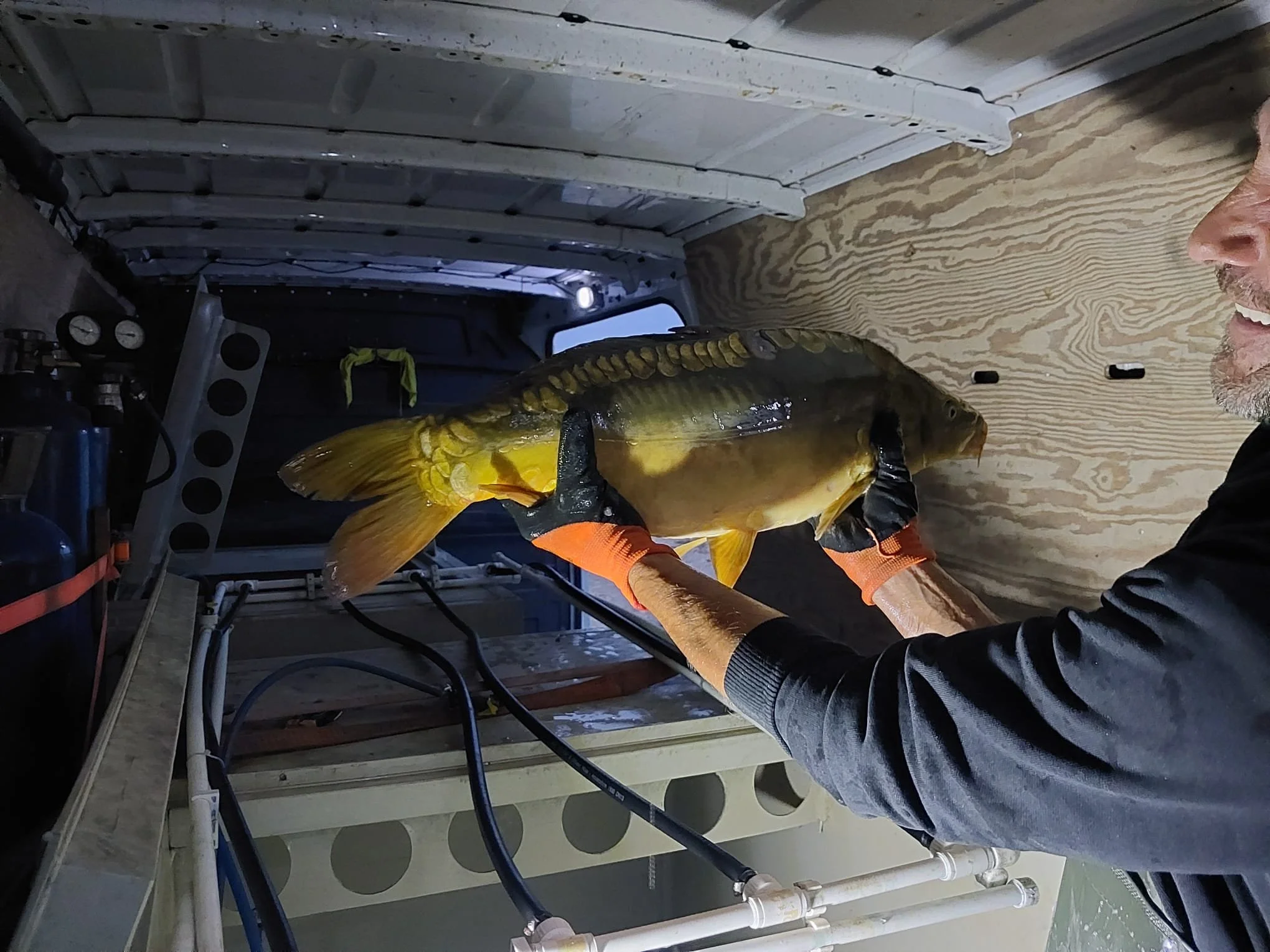 WhatsApp Image 2025-09-25 at 22.43.15 (1).jpeg