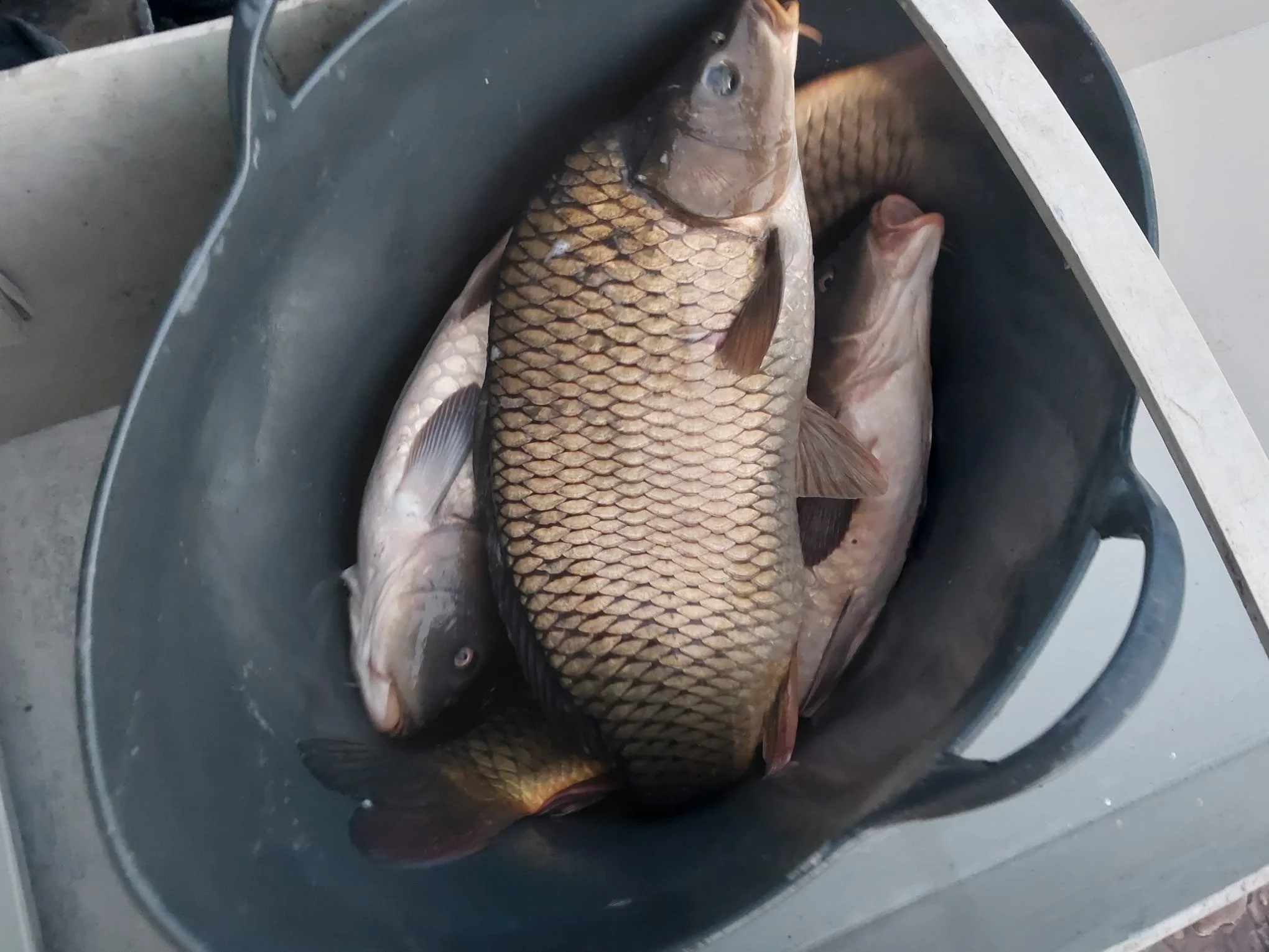 WhatsApp Image 2025-09-25 at 22.43.16.jpeg