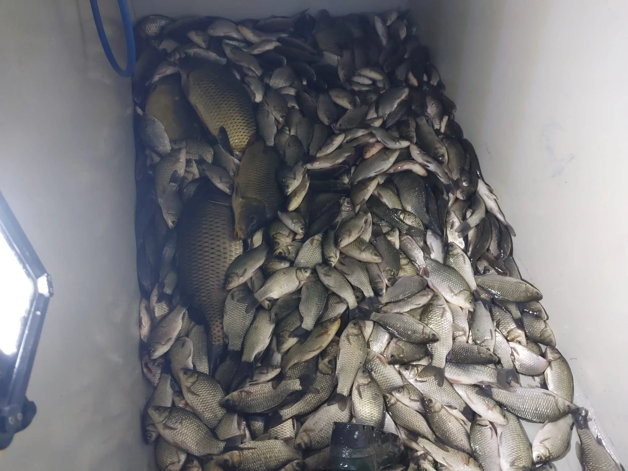 WhatsApp Image 2025-09-25 at 22.43.16 (1).jpeg