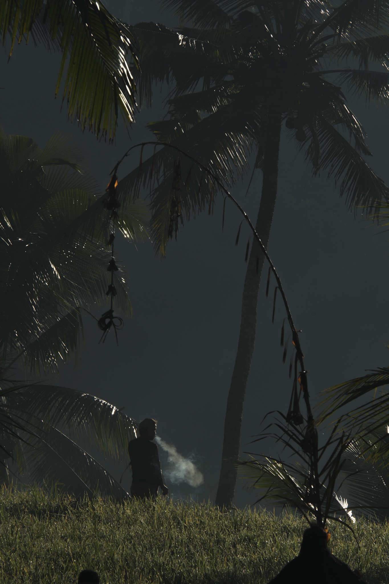 DSCF1532 3.png