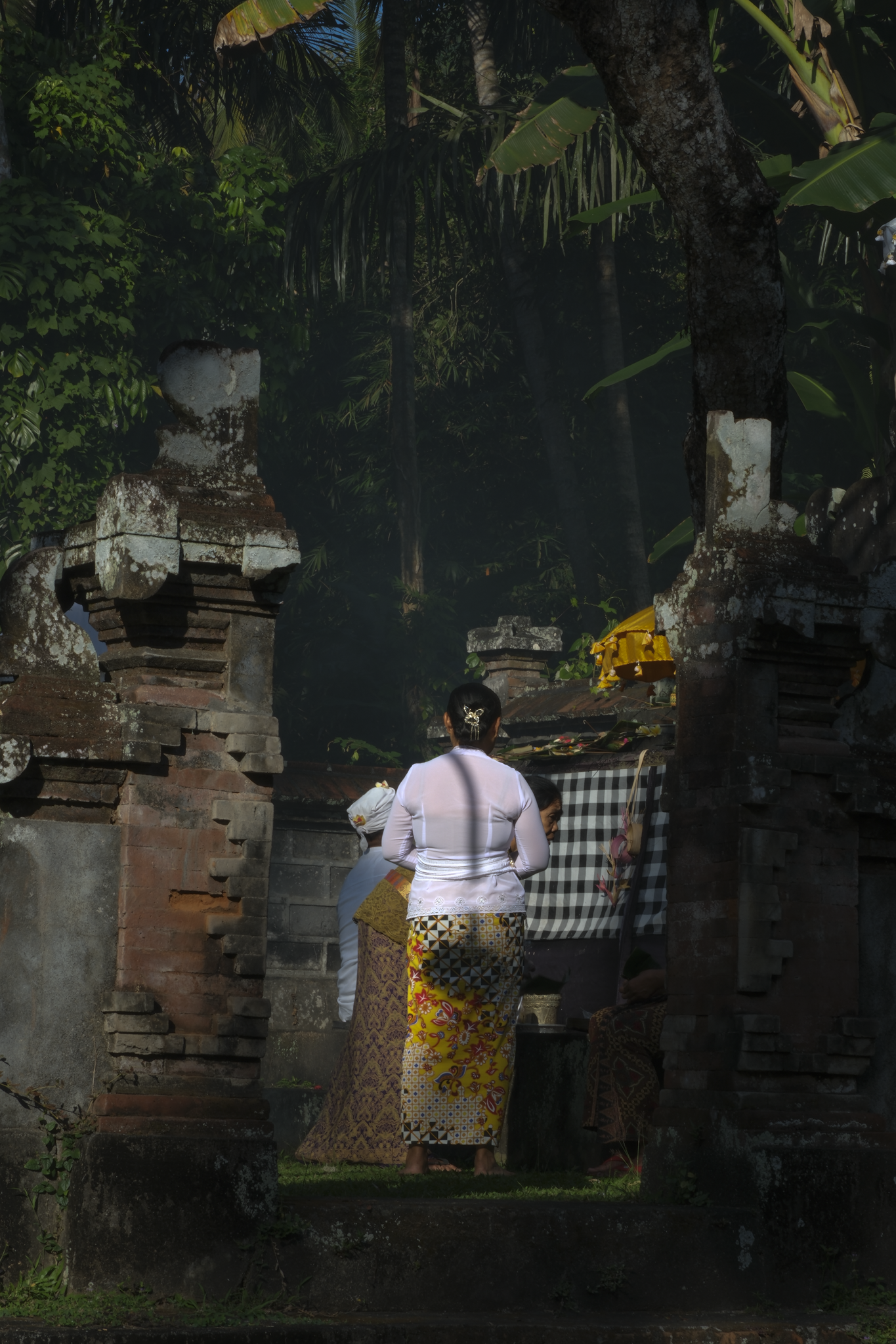 DSCF3869.png