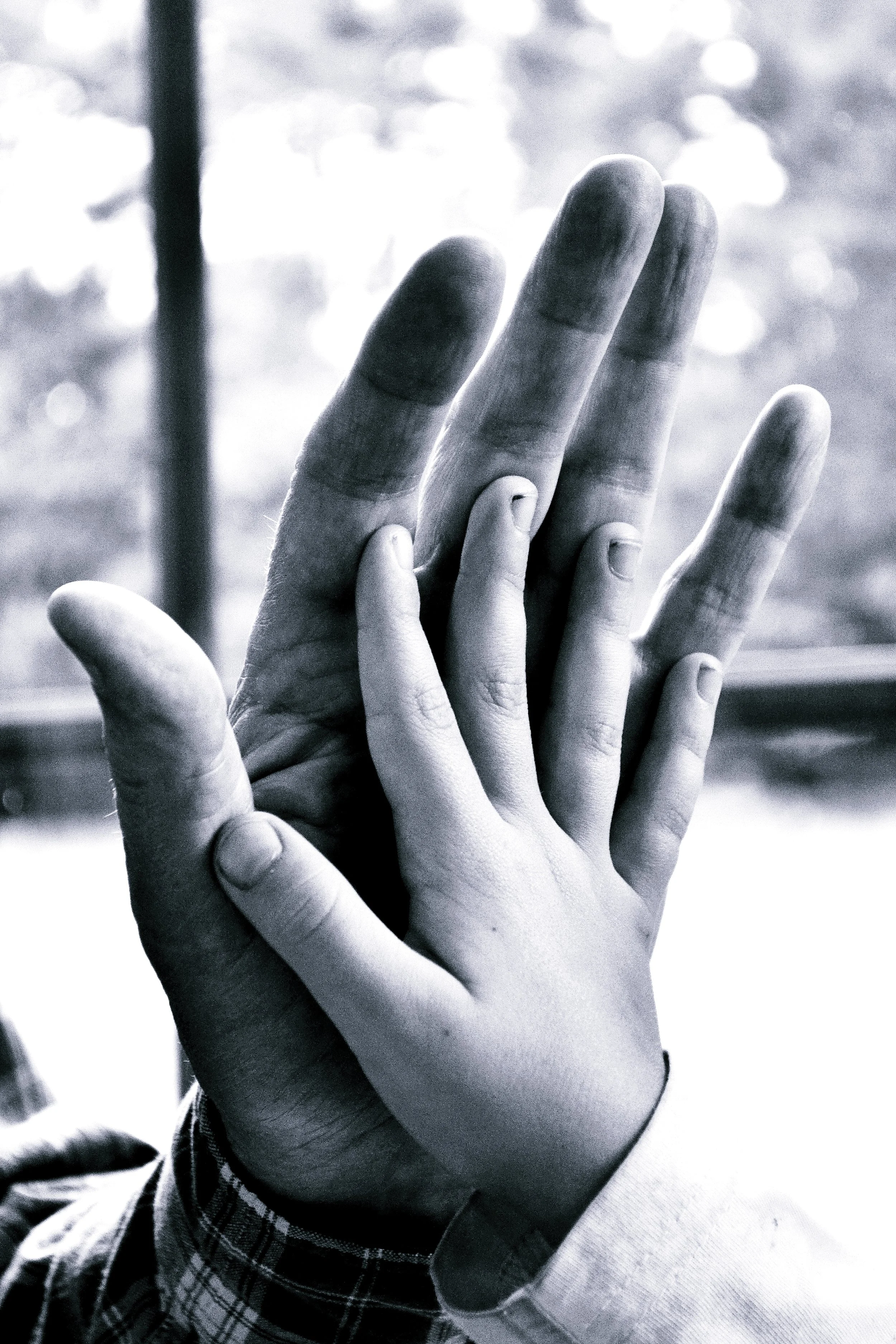 DSC_0187_black white.JPG