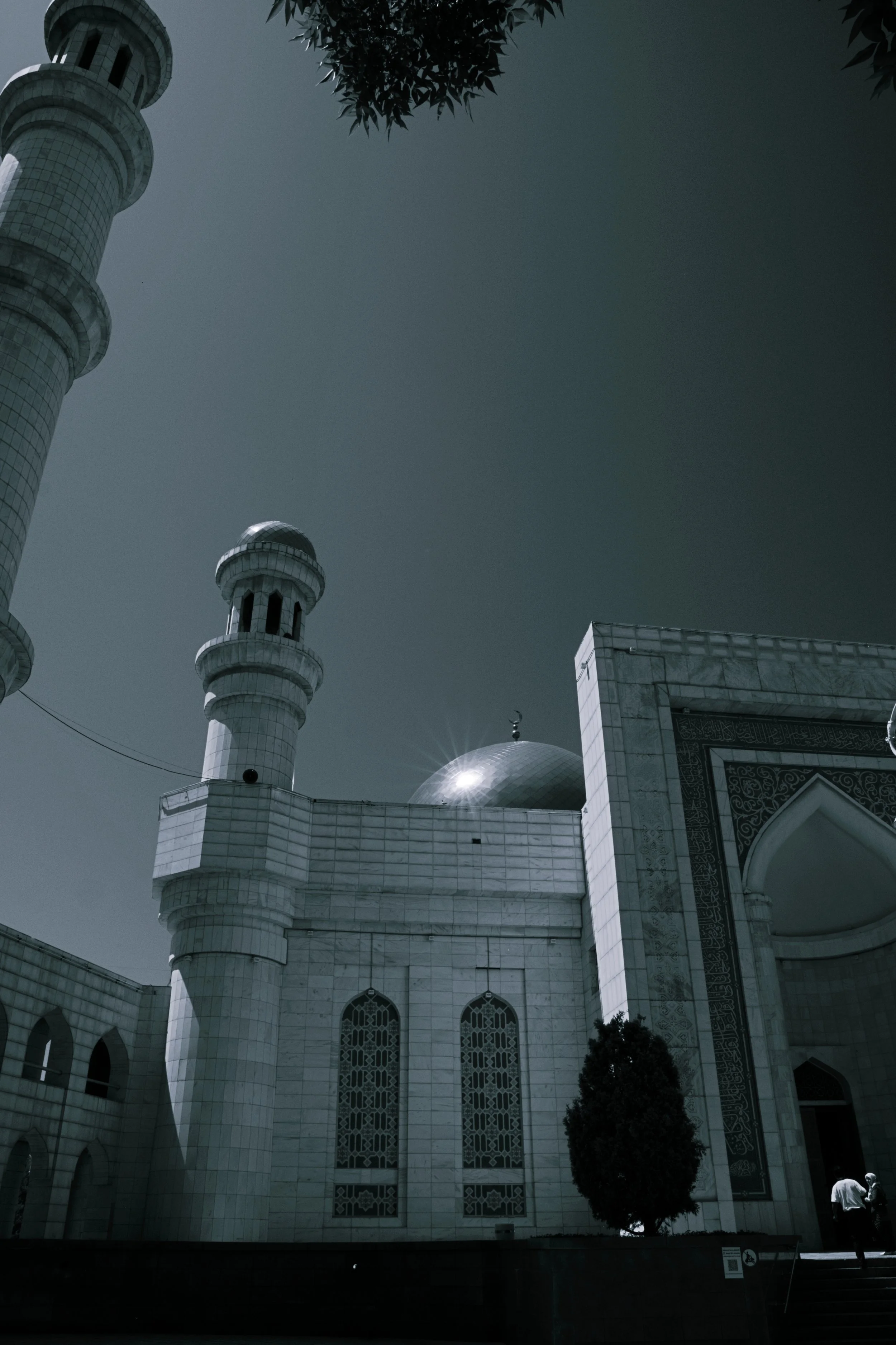 DSCF5269_black white.jpg