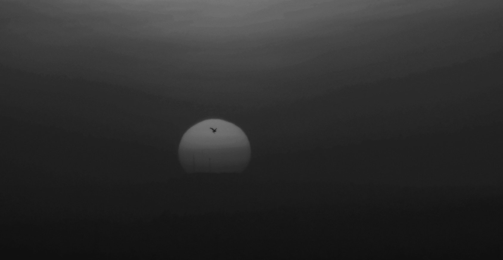DSCF3871_black white.JPG