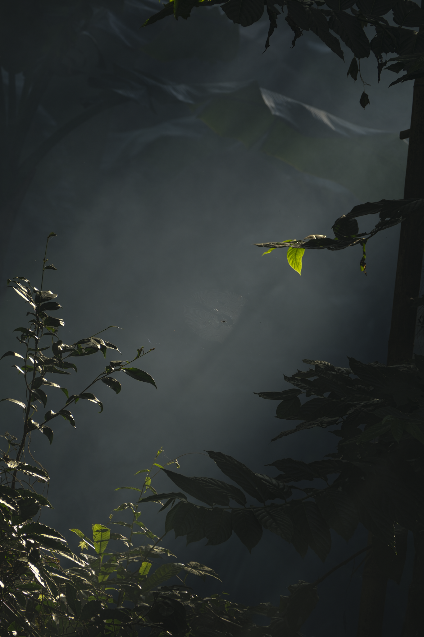 DSCF3763.png