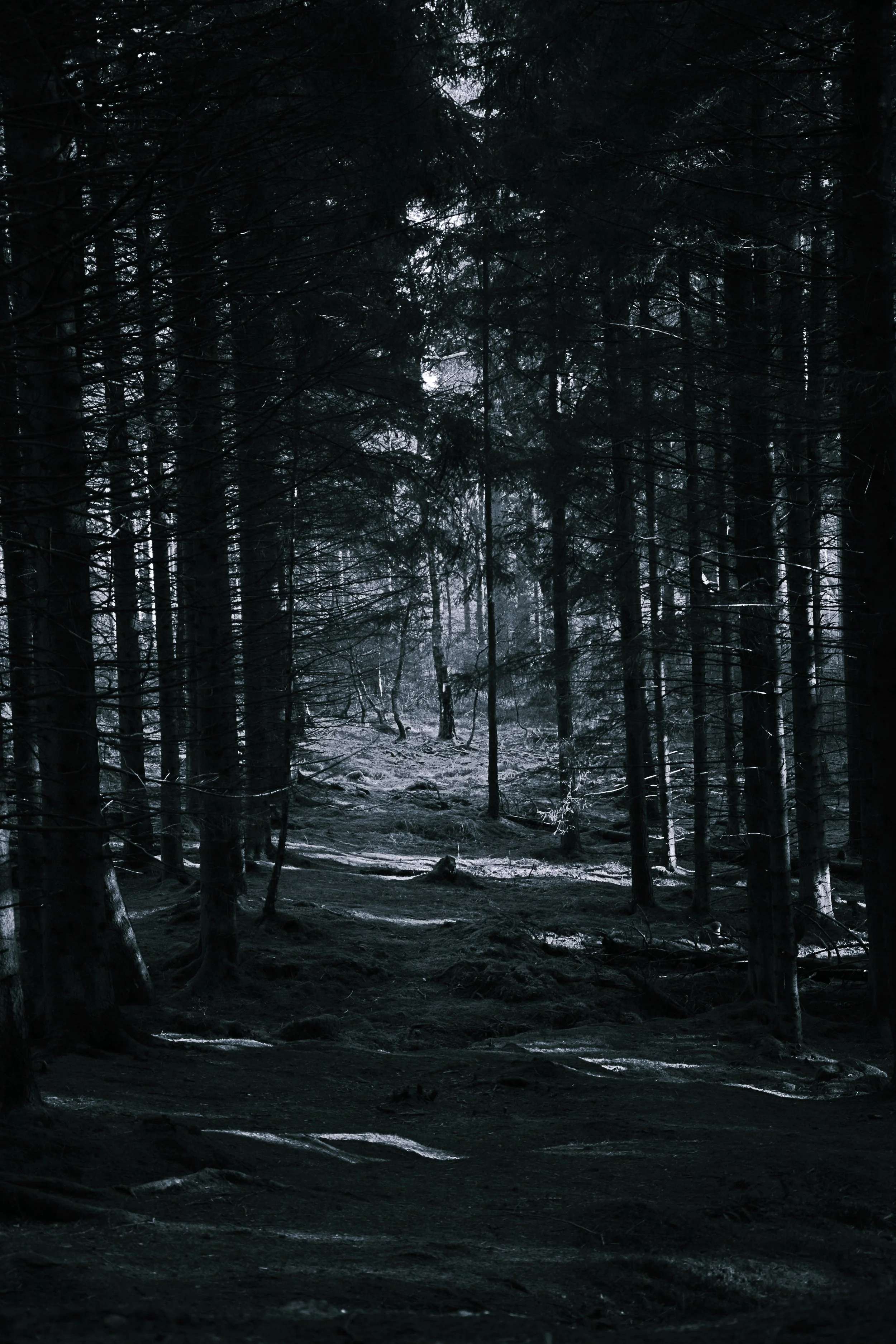 DSC_8127_black white.JPG