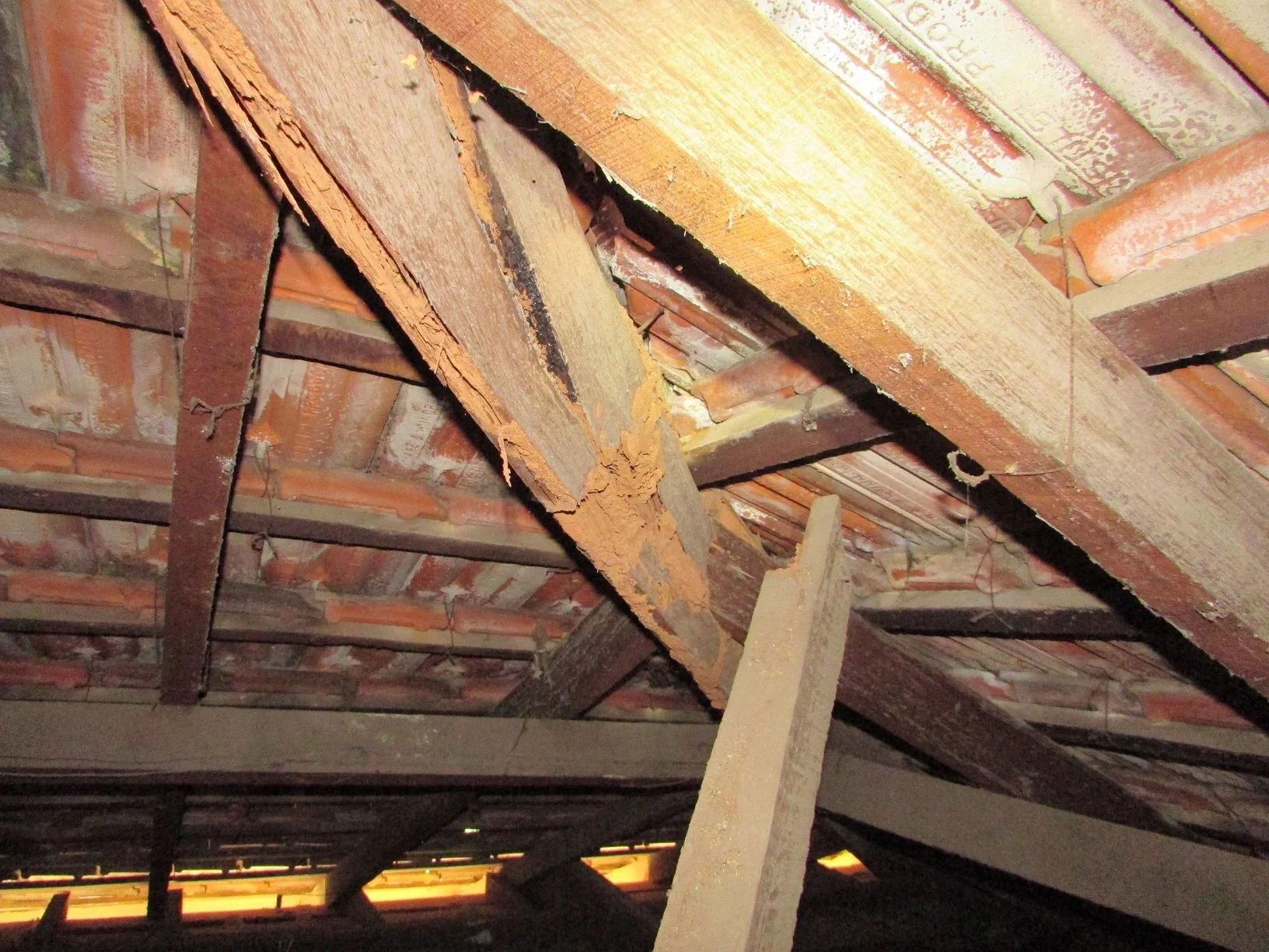 Termite inspection.jpg