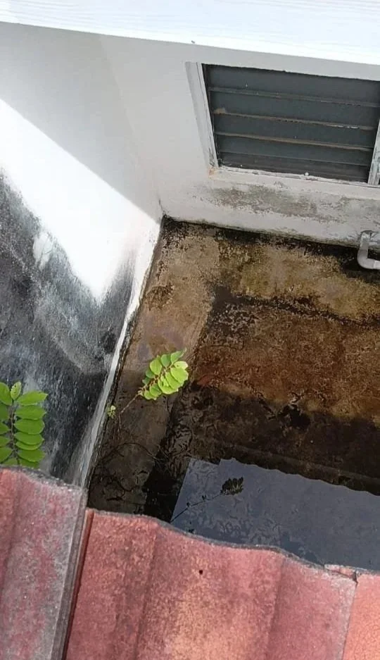WhatsApp+Image+2026-05-18+at+10.15.01+PM.jpg