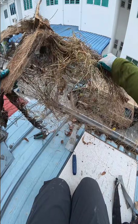 gutter-cleaning-ipoh-clogged-leaves-moss-removal