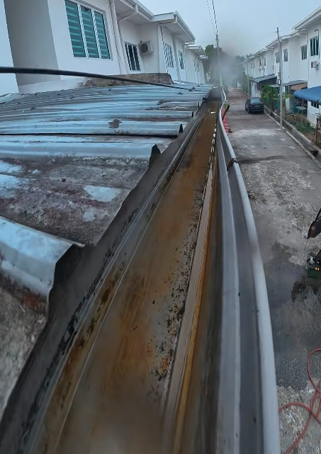 residential-roof-plant-removal-ipoh