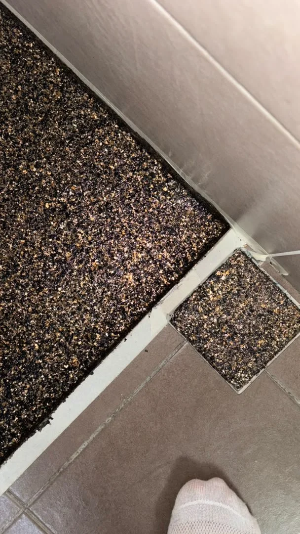 Toilet Epoxy2.jpeg
