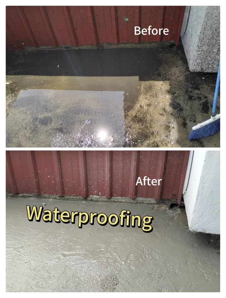 WhatsApp Image 2025-10-26 at 23.22.51_e69aa66c.jpg