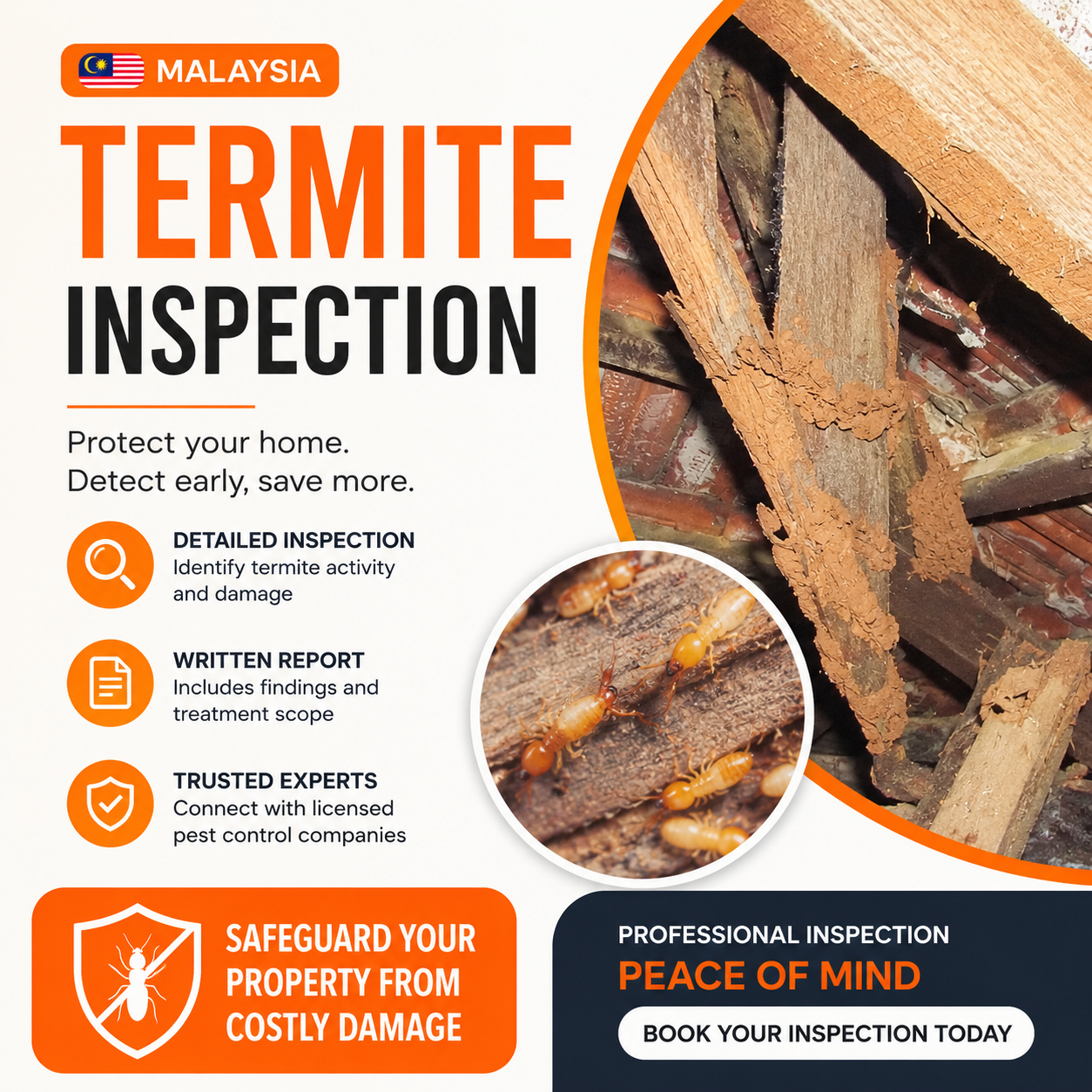 Termite Inspection