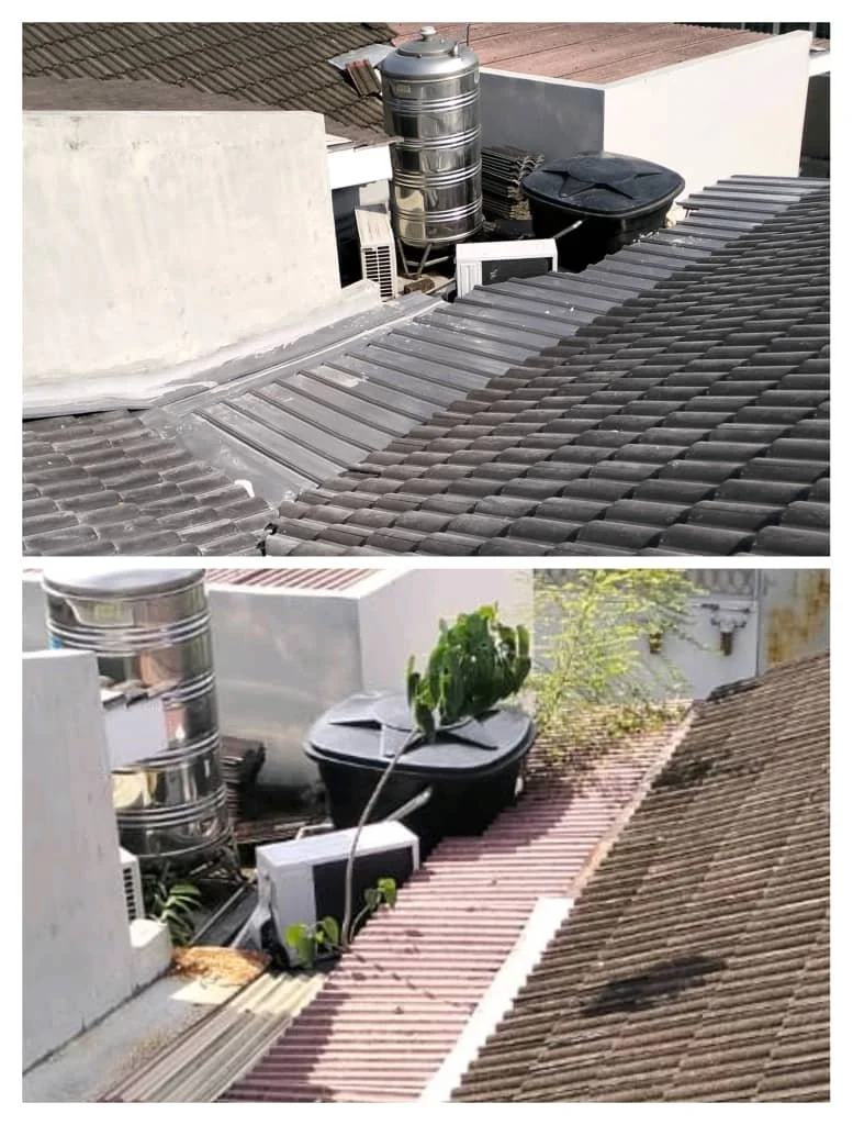 WhatsApp Image 2025-11-04 at 9.18.56 PM (1).jpeg