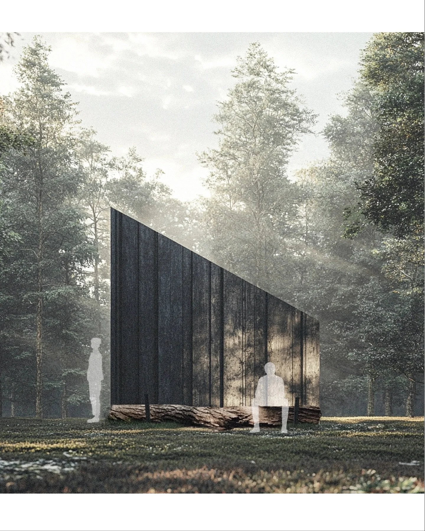 We had the pleasure of collaborating with @Wakehurst_Kew on a fast-paced conceptual design exploring the connection between architecture and the Chilean collection of Nothofagus (Southern Beeches) and Araucarias (Chilean Monkey Puzzle) in Coates Wood