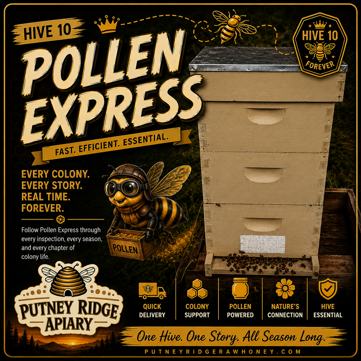 Hive 10.png