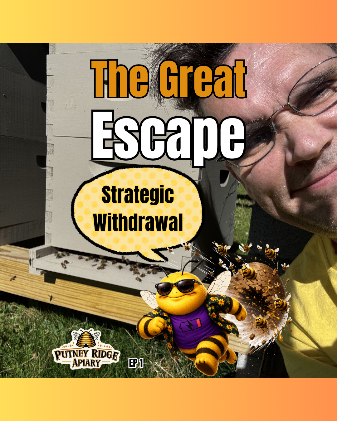 The Great Escape - A Bee Swarm Takes Over a Tree Episode 1 of our 5 part swarm series                               (Buzzloaf's Chill Zone Ep. 8) 