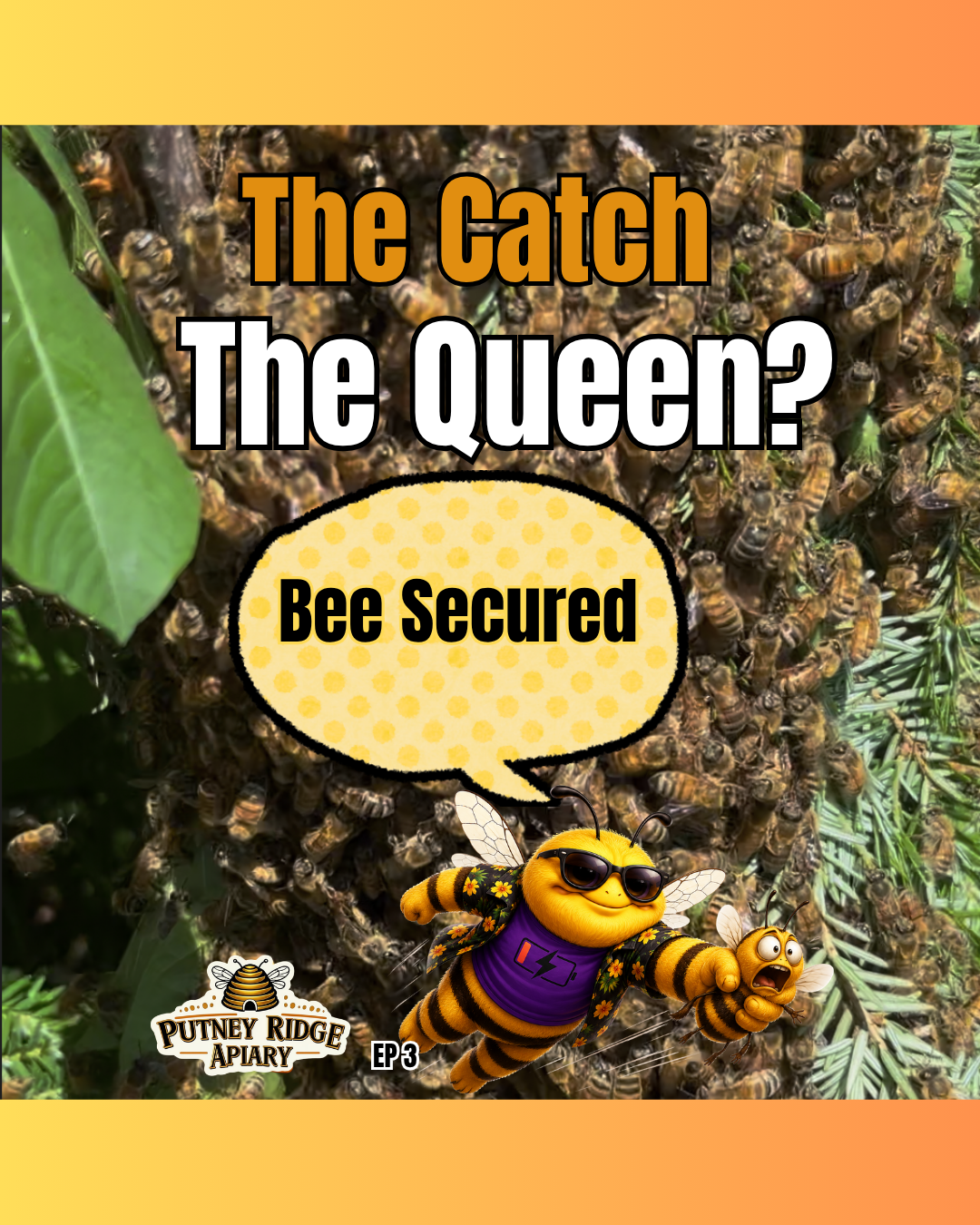 The Catch, Did We Get The Queen? Episode 3 of our 5 part swarm series (Buzzloaf's Chill Zone Ep. 10)