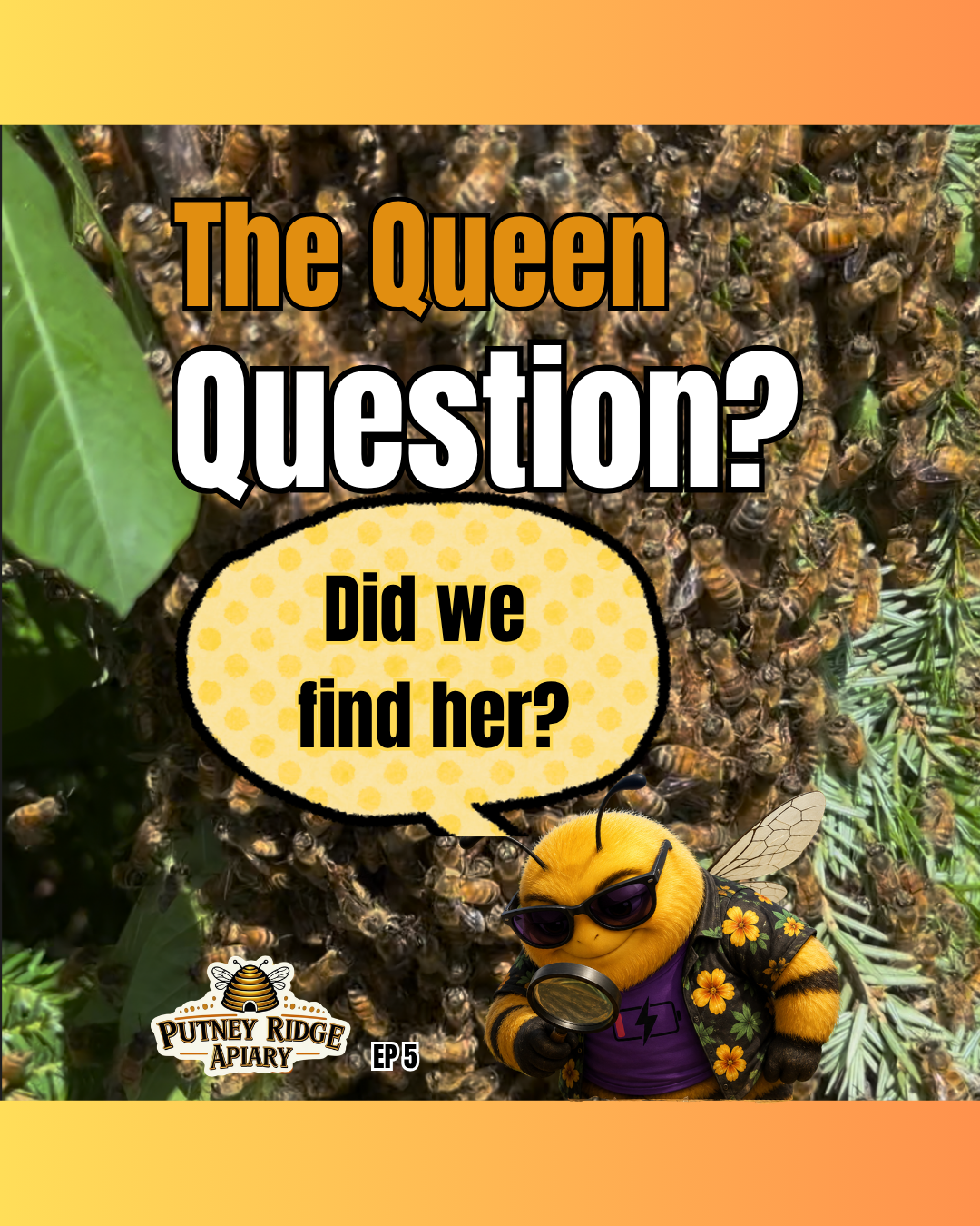 The Queen Question. Episode 5 of our 5 part swarm series, which has been extended (Buzzloaf's Chill Zone Ep. 12)