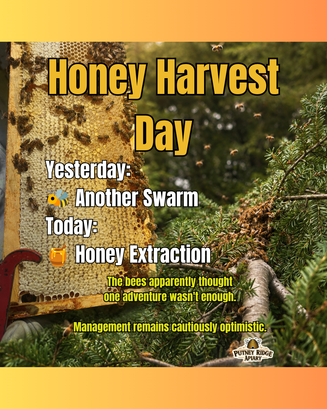 Honey Harvest Day Has Arrived!