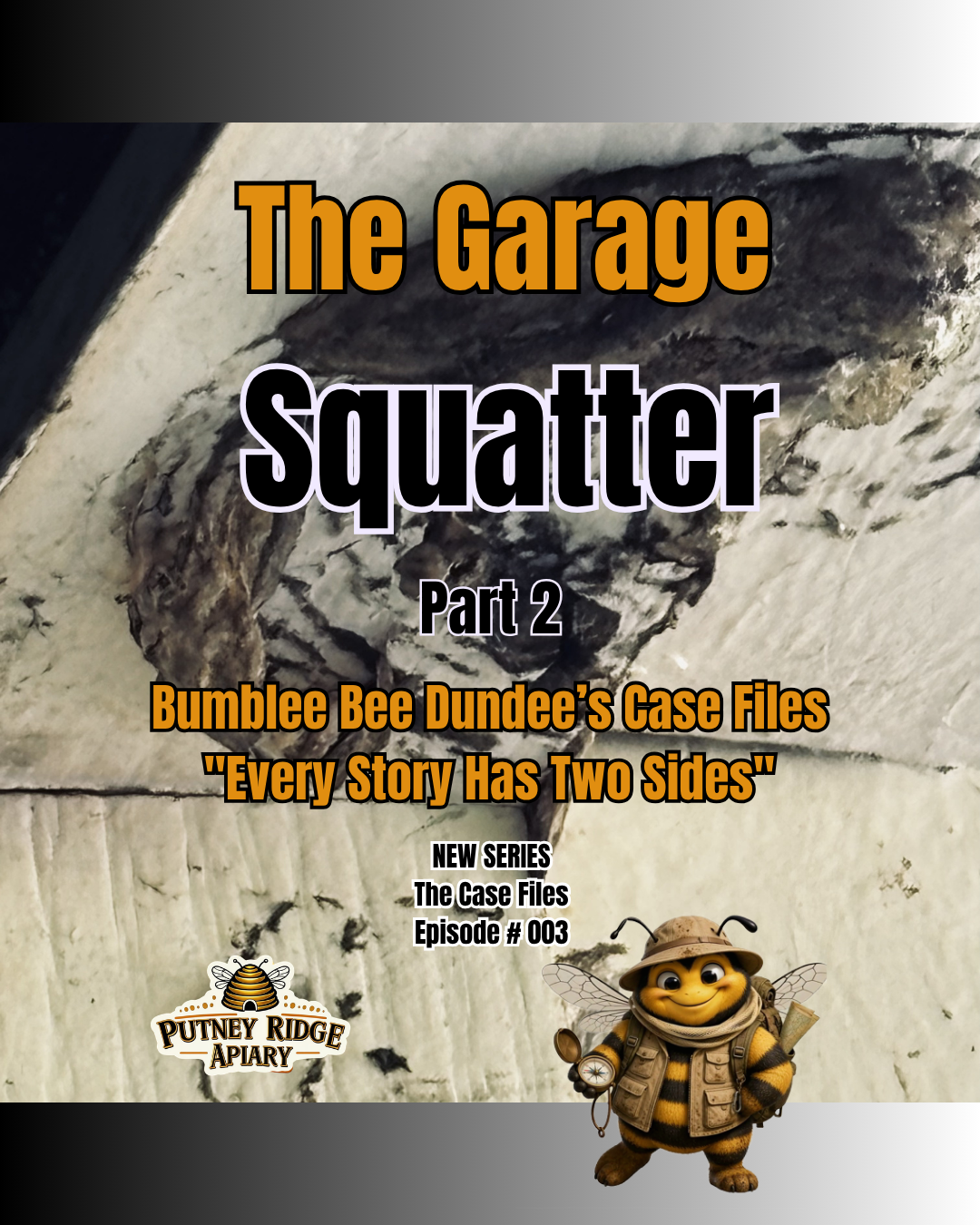 Case File #002: The Garage Squatter – The Final Report