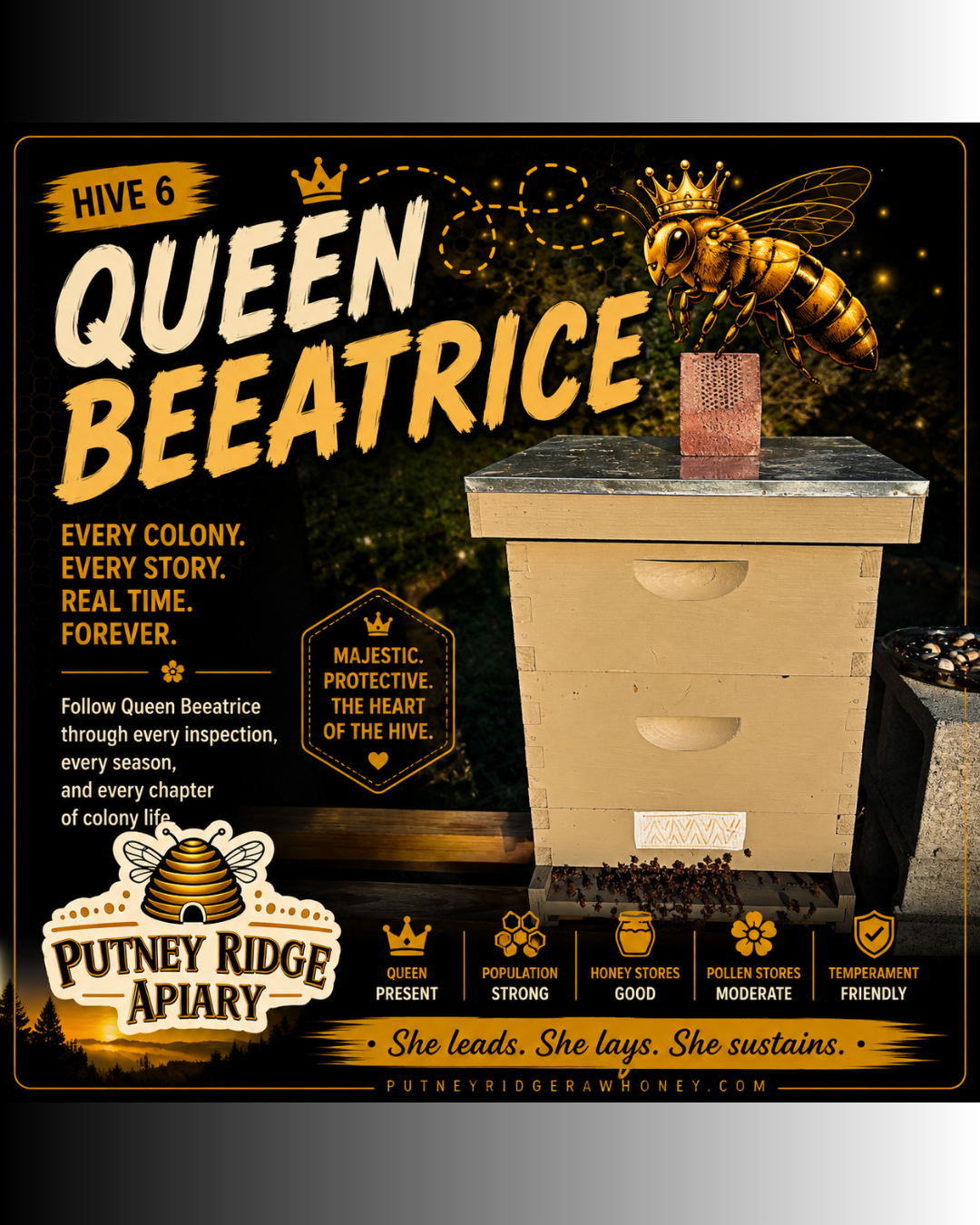 Inside Hive Queen Beatrice! |Real Hive Inspection