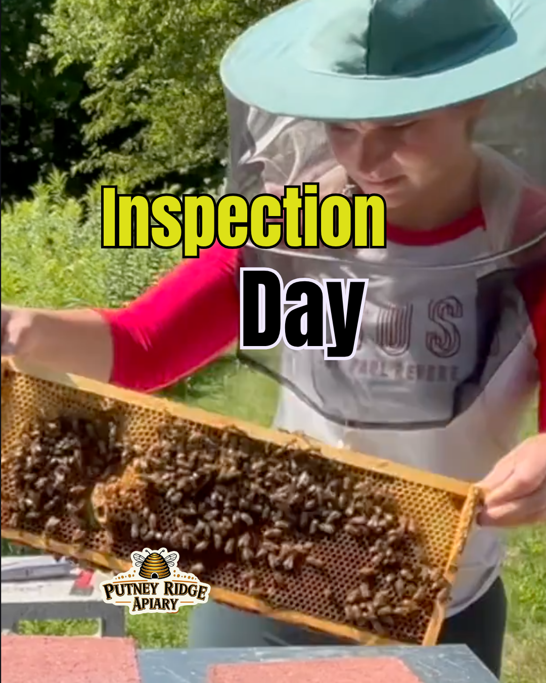 Hive Five - Inspection Day with Our Chief Beekeeping Officer