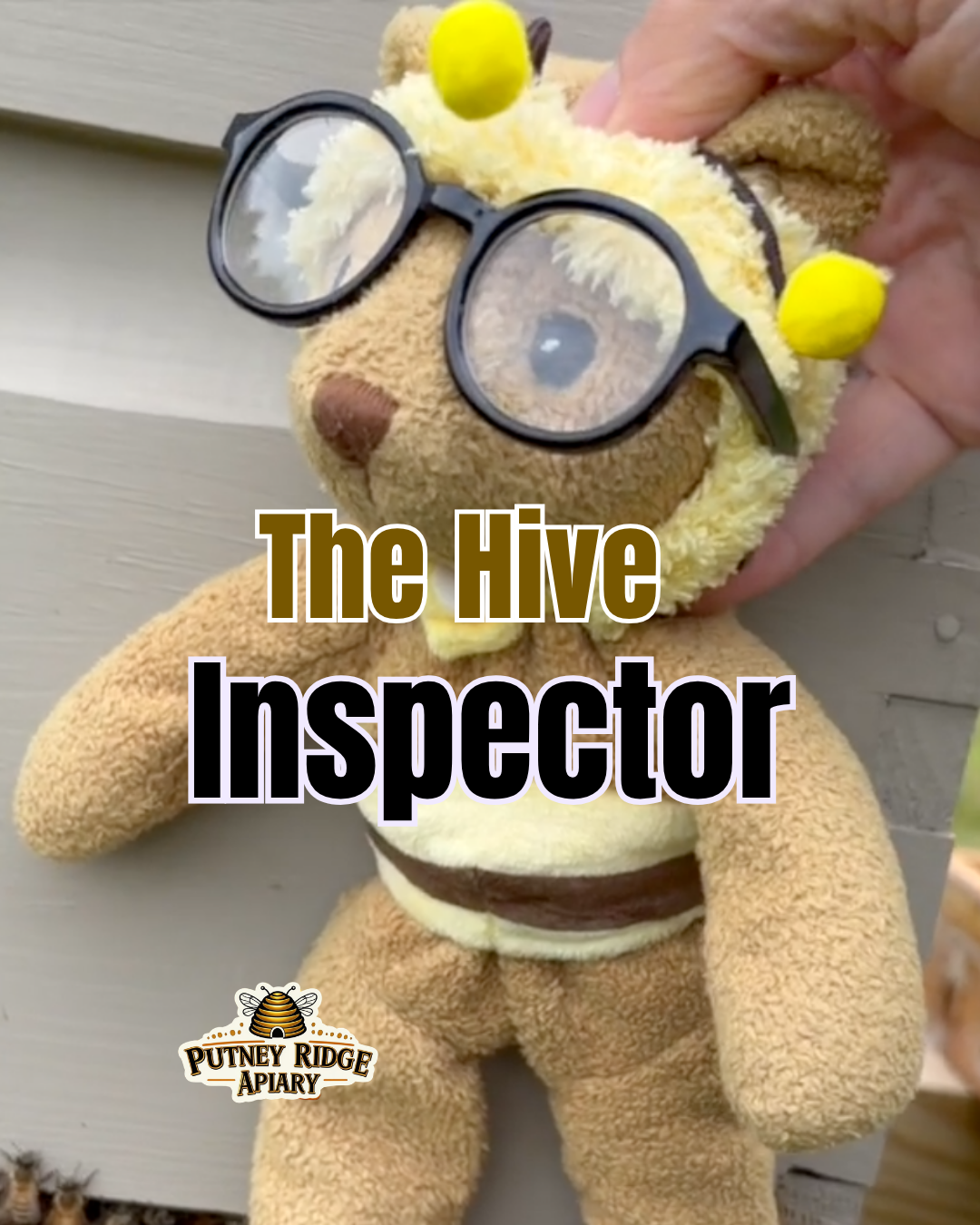 The Hive Inspector
