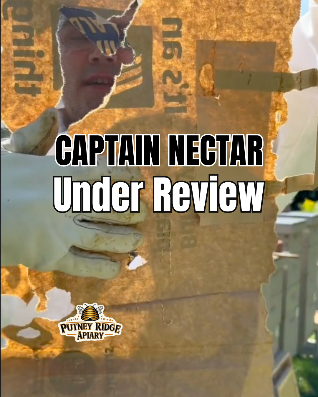 Captain Nectar: Under Review - A Hive With a Laying Worker