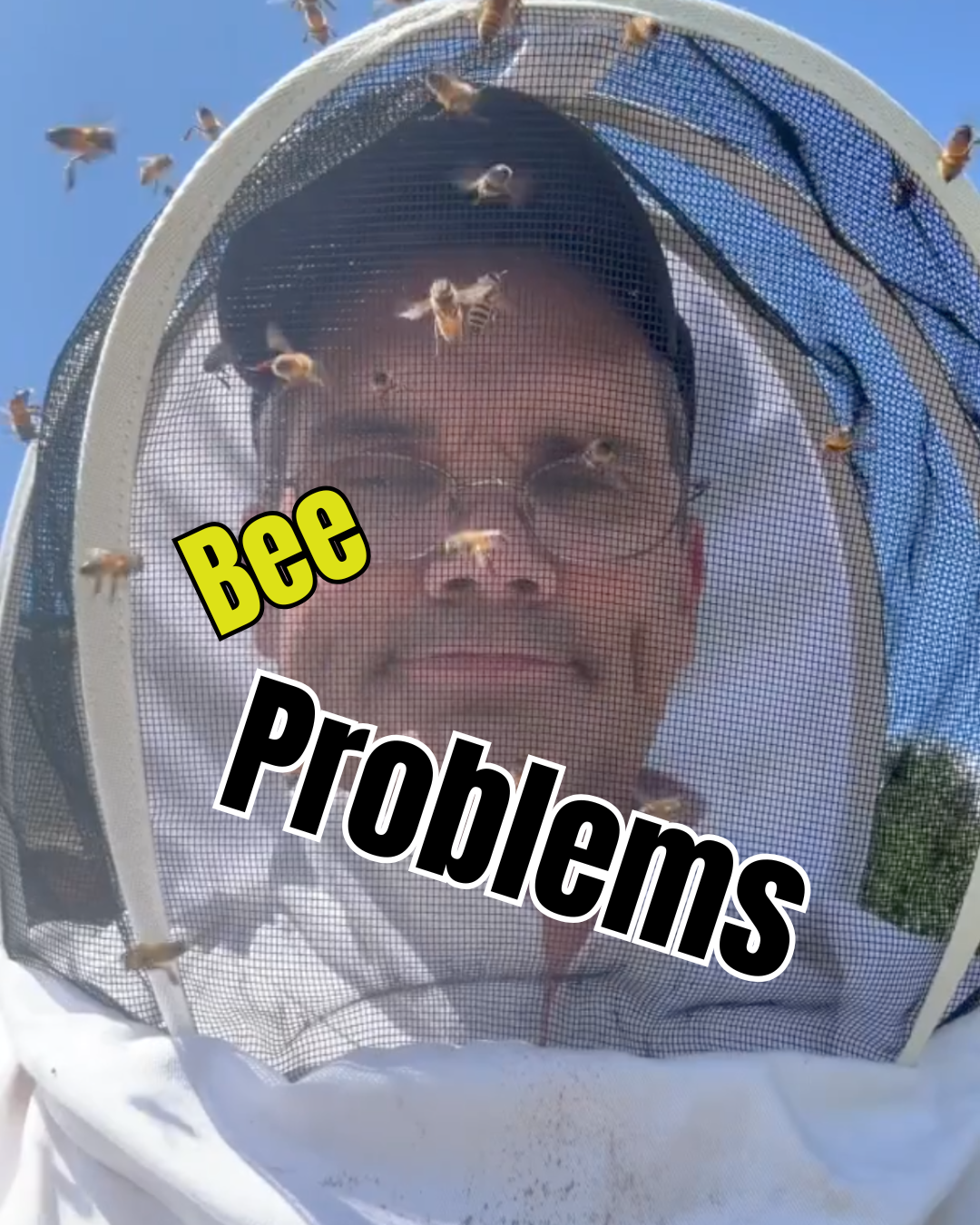 Bee Problems - When the Bees Fight Back