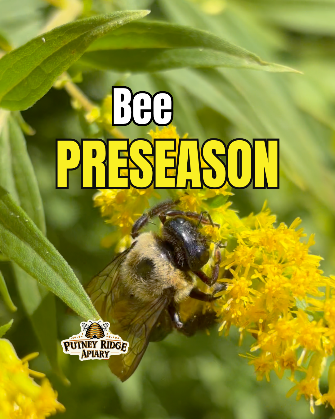Bee Preseason 🐝🏈 The Work Has Already Begun