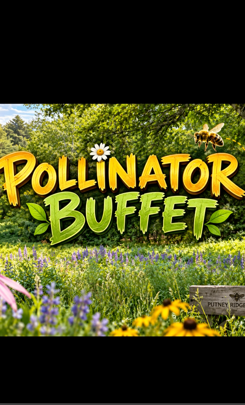 The Pollinator Buffet - Putney Ridge Apiary