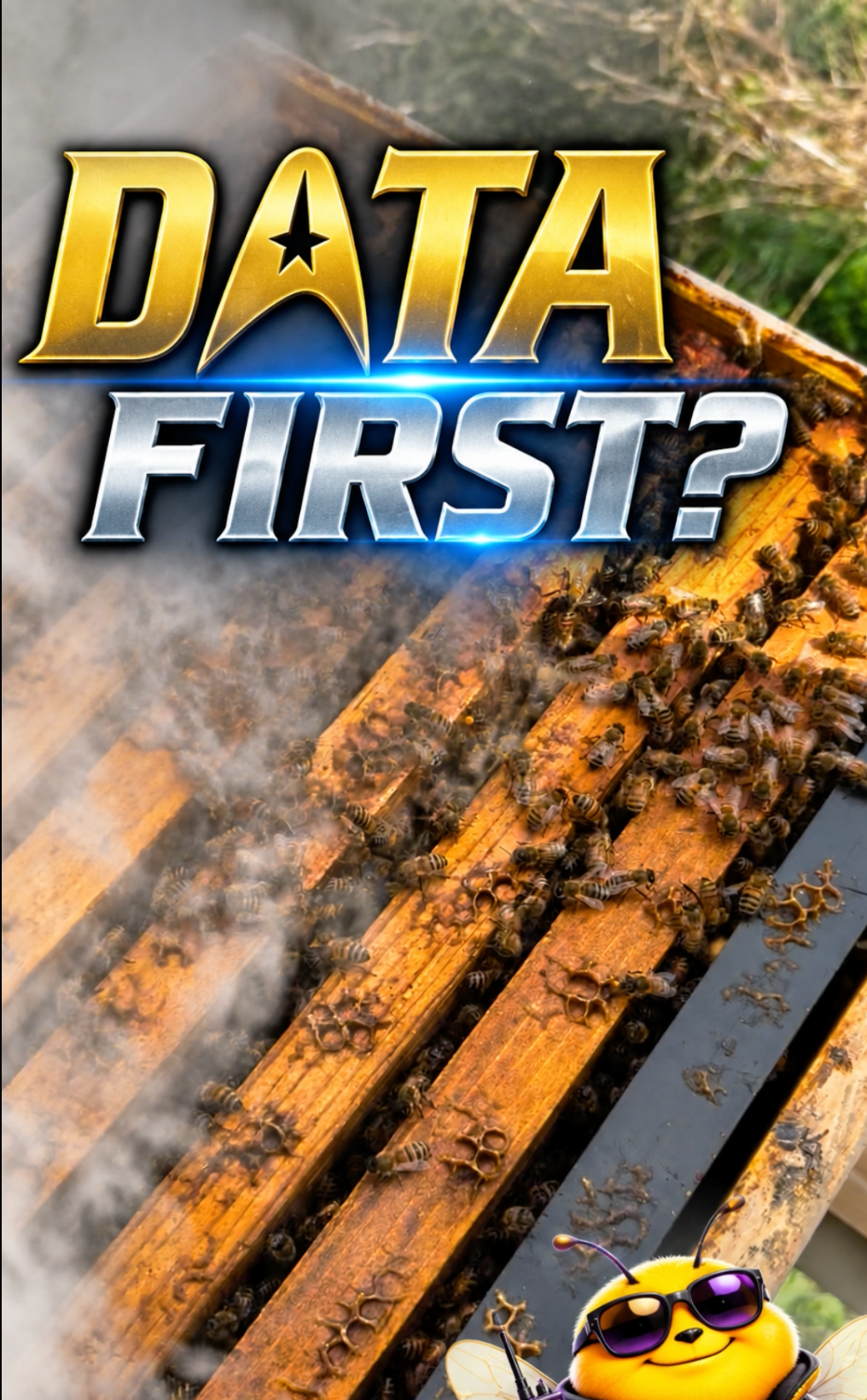 Who Built Data First? 🤖🐝  Continuity Division