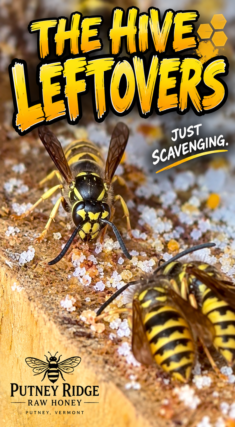 The Hive Leftovers - Yellow Jackets Found the Buffet