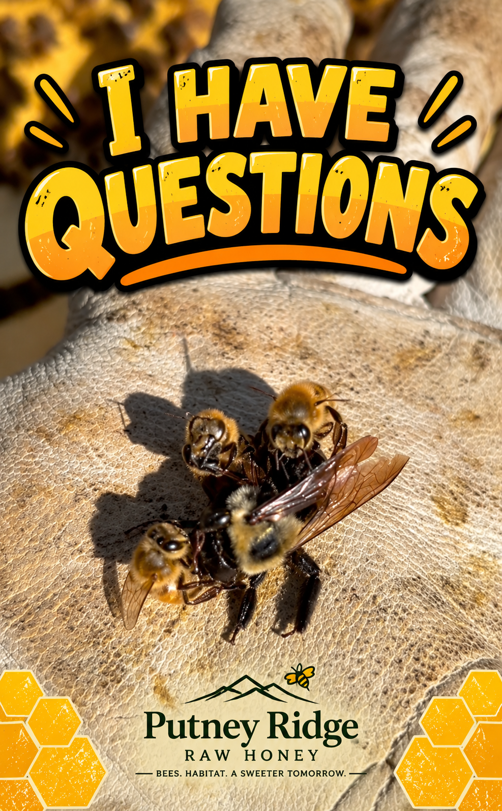 I Have Questions - When Bees Swarm the Wrong Bee