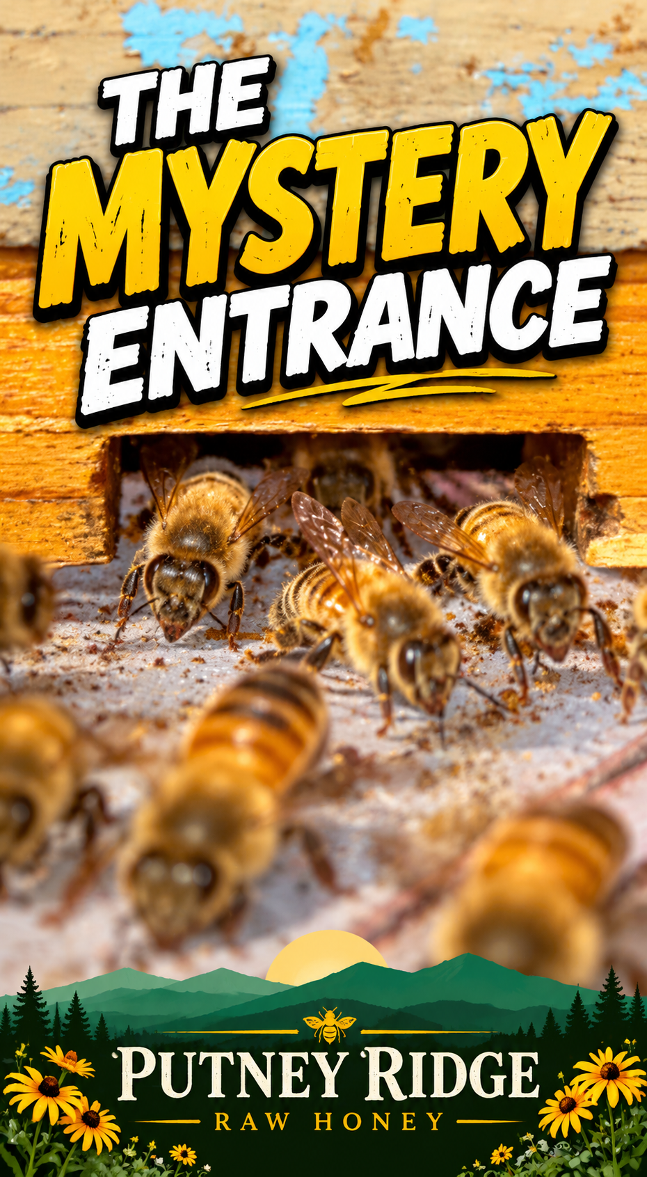 The Bees Have Another Entrance