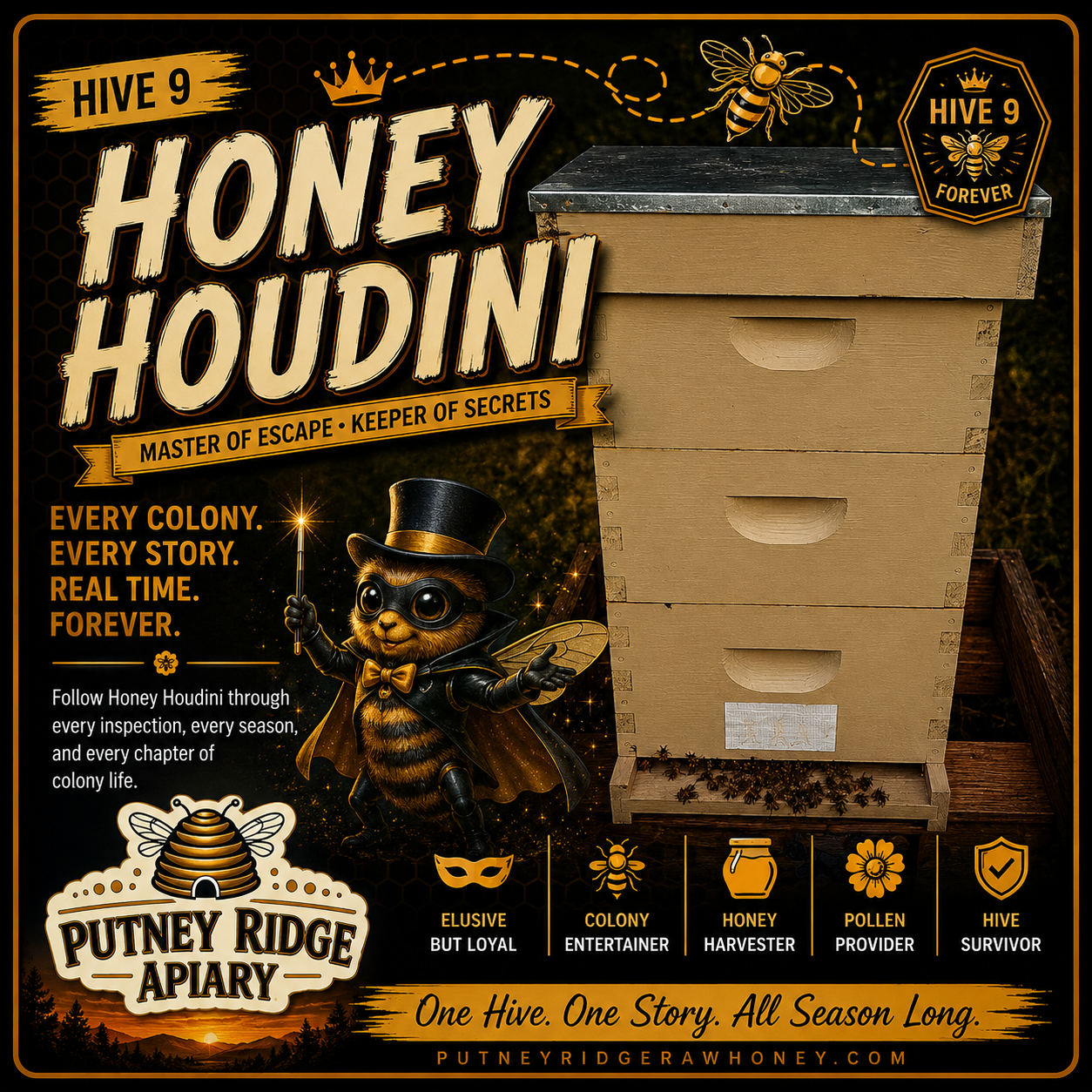 Hive 09.png