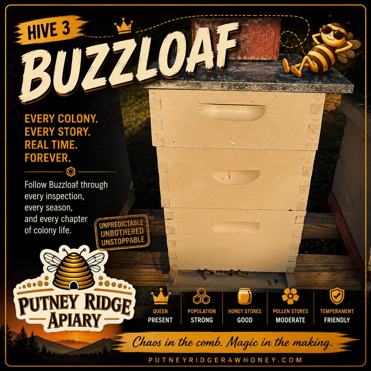 Hive 03.png